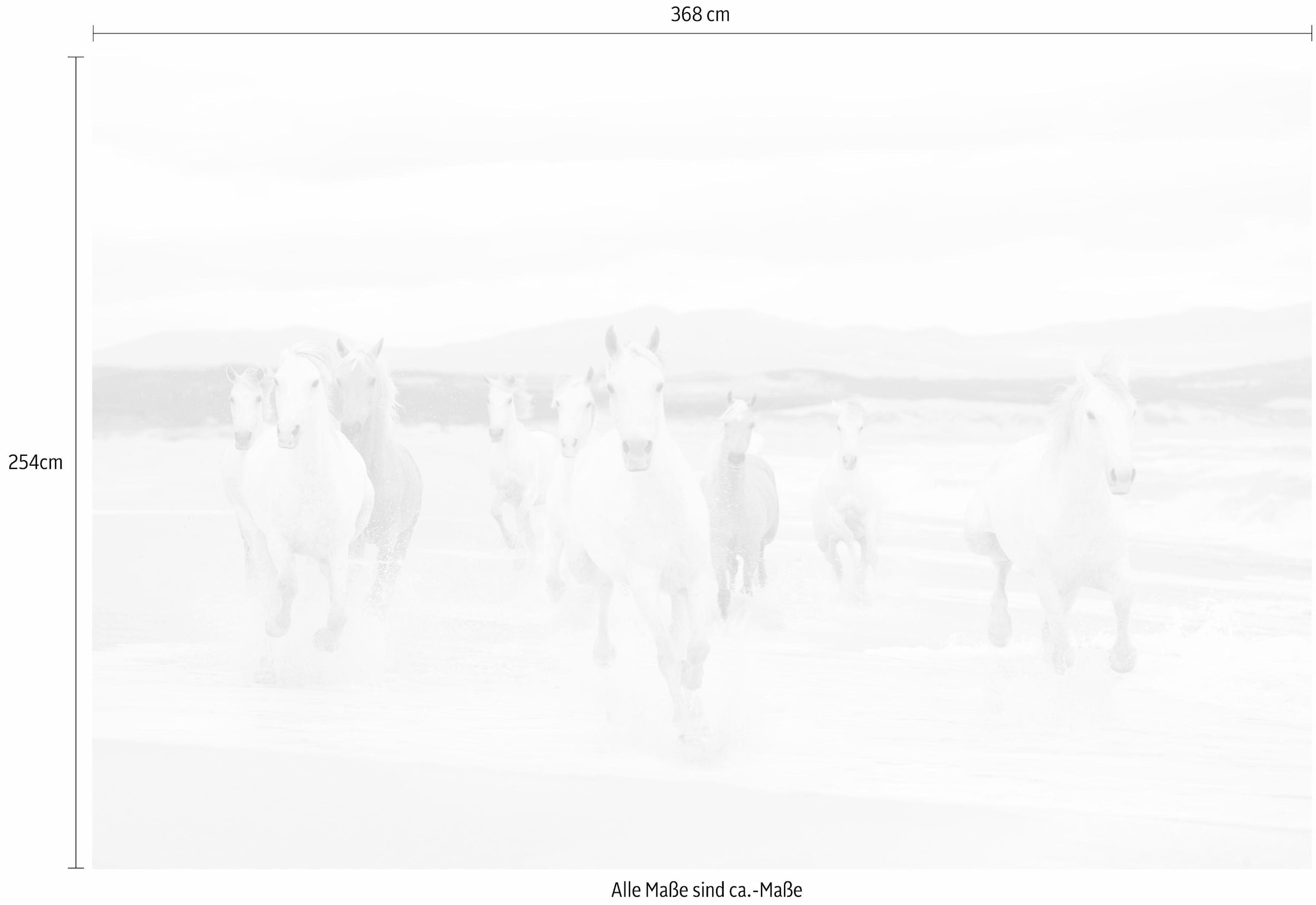 Komar Fototapete »White Horses«, 368x254 cm (Breite x Höhe), inklusive Kleister