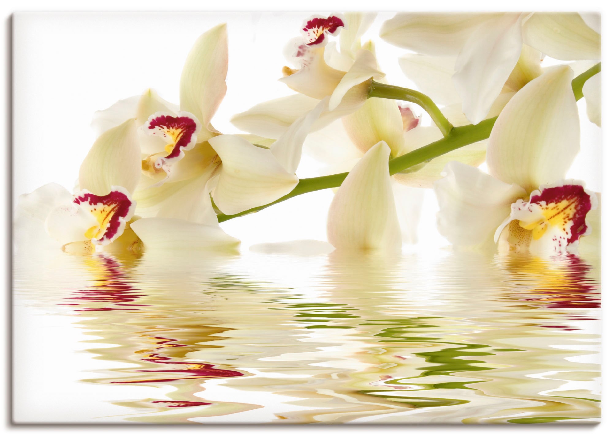 Artland Wandbild »Weiße Orchidee mit Wasserreflektion« Blumen 1 Stk. tlg. a günstig online kaufen