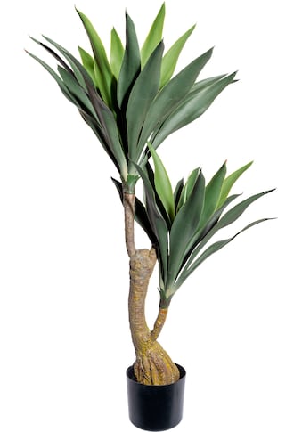 Künstliche Zimmerpflanze »Dracaena«