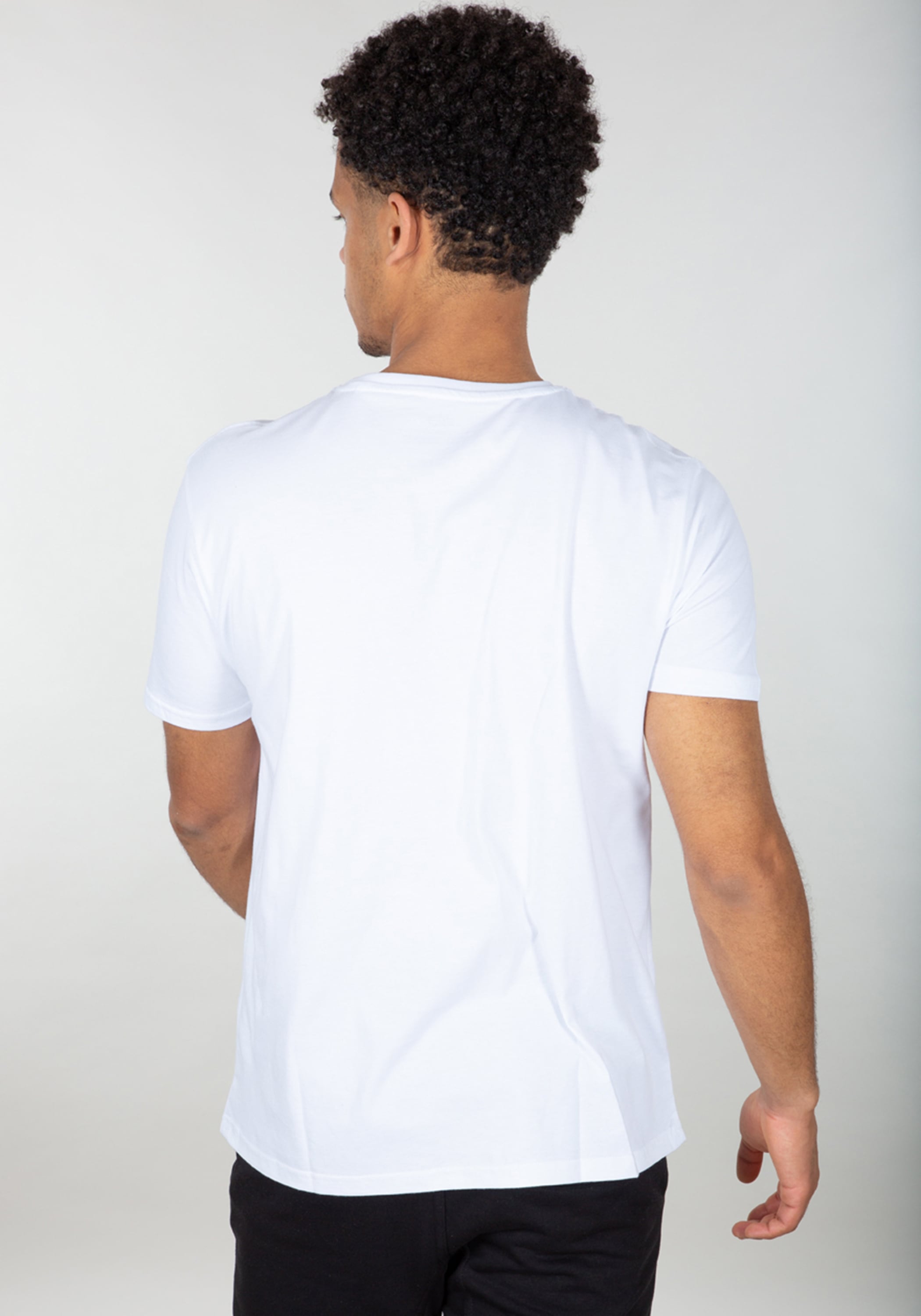 Alpha Industries T-Shirt »Alpha Industries Men - T-Shirts Basic T-Shirt BL Rainbow Ref.«