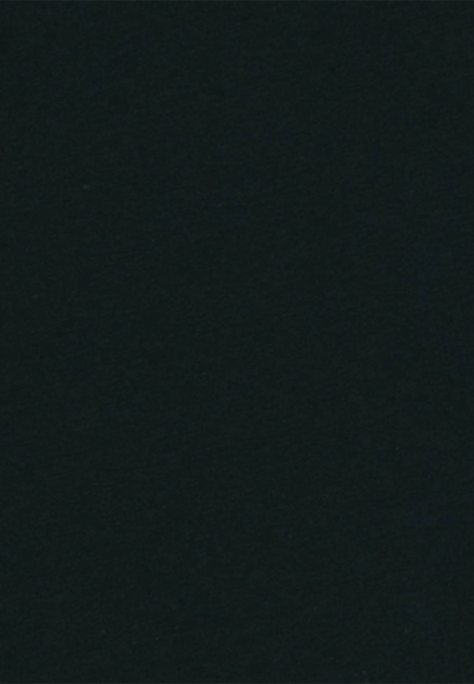 studio seidensticker T-Shirt »Studio« Kurzarm Rundhals Uni