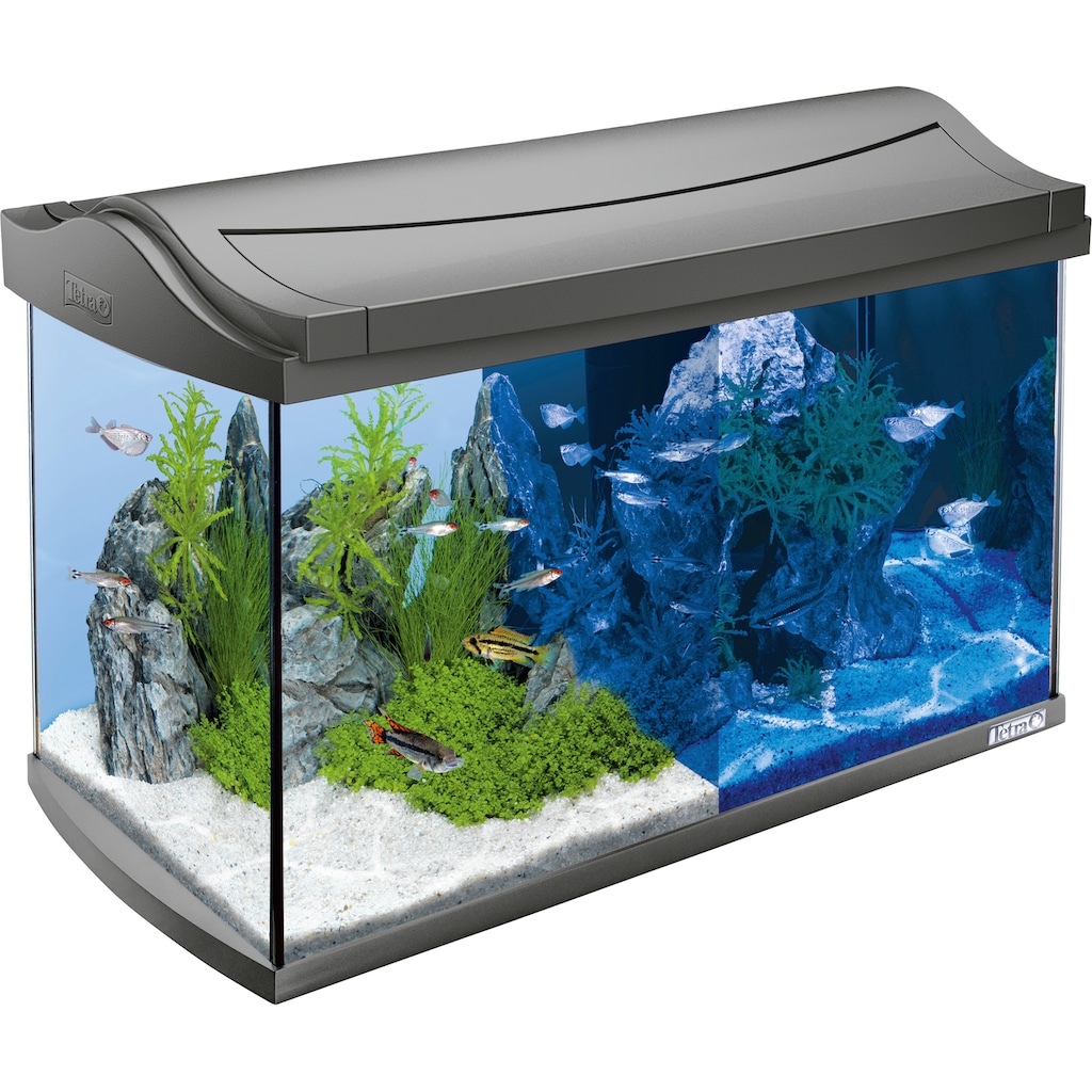 Tetra Aquarium »AquaArt LED Discovery Line«