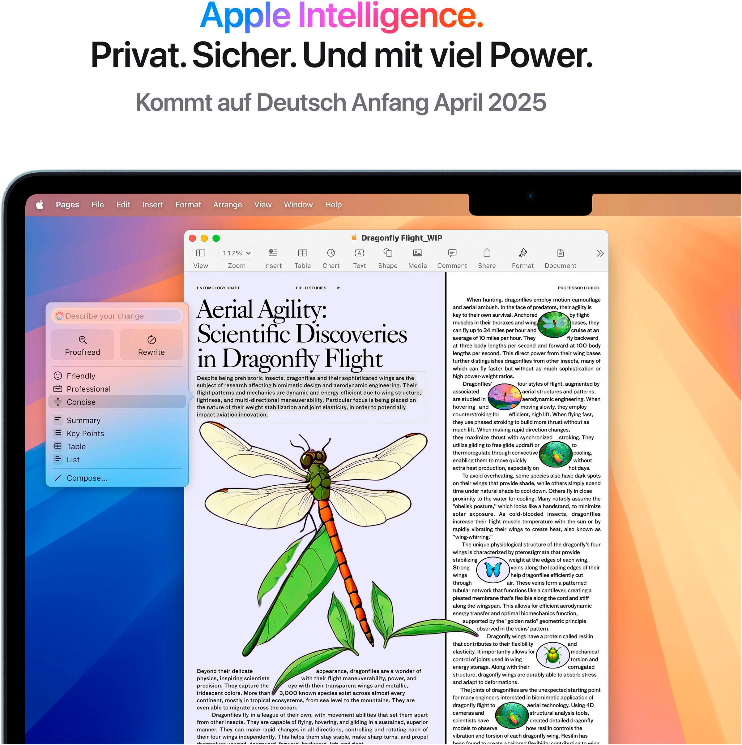 Apple Notebook »MacBook Air 13" CTO«, 34,46 cm, / 13,6 Zoll, Apple, M4, 10-Core GPU, 512 GB SSD