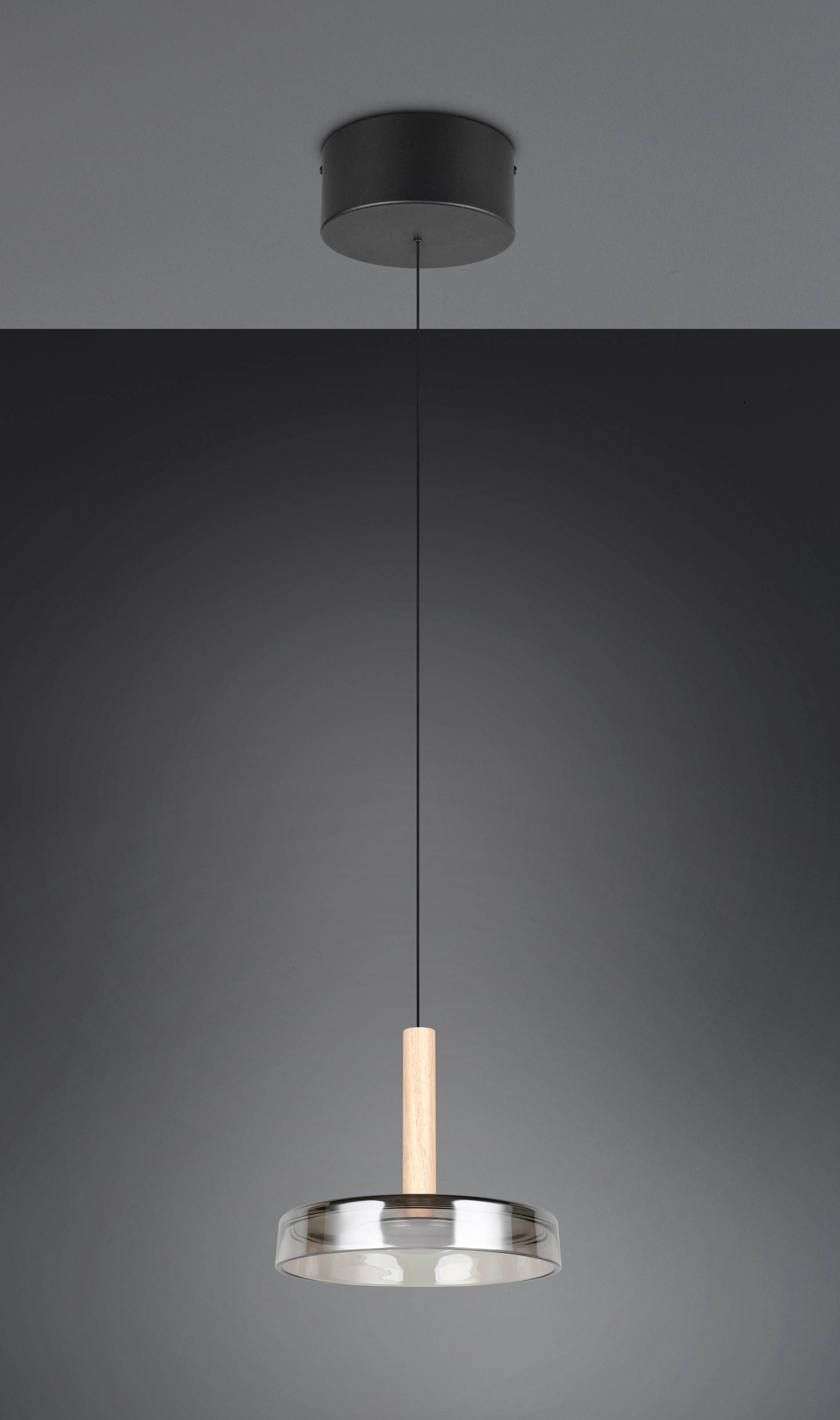 TRIO Leuchten LED Pendelleuchte »CELESTE dimmbare LED Hängelampe aus Metall Glas & Holz, 10W 1100 Lumen«, 1 flammig, Leuchtmittel LED-Board | LED fest integriert, einfach höhenverstellbar von 50-200 cm, Ø 22cm, 3-Stufen Dimmfunktion