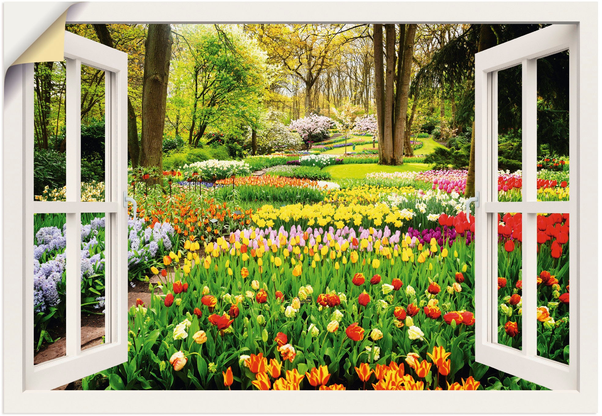 Artland Wandbild »Fensterblick Tulpen Garten Frühling«, Fensterblick, (1 St.)  auf Rechnung bestellen | Poster