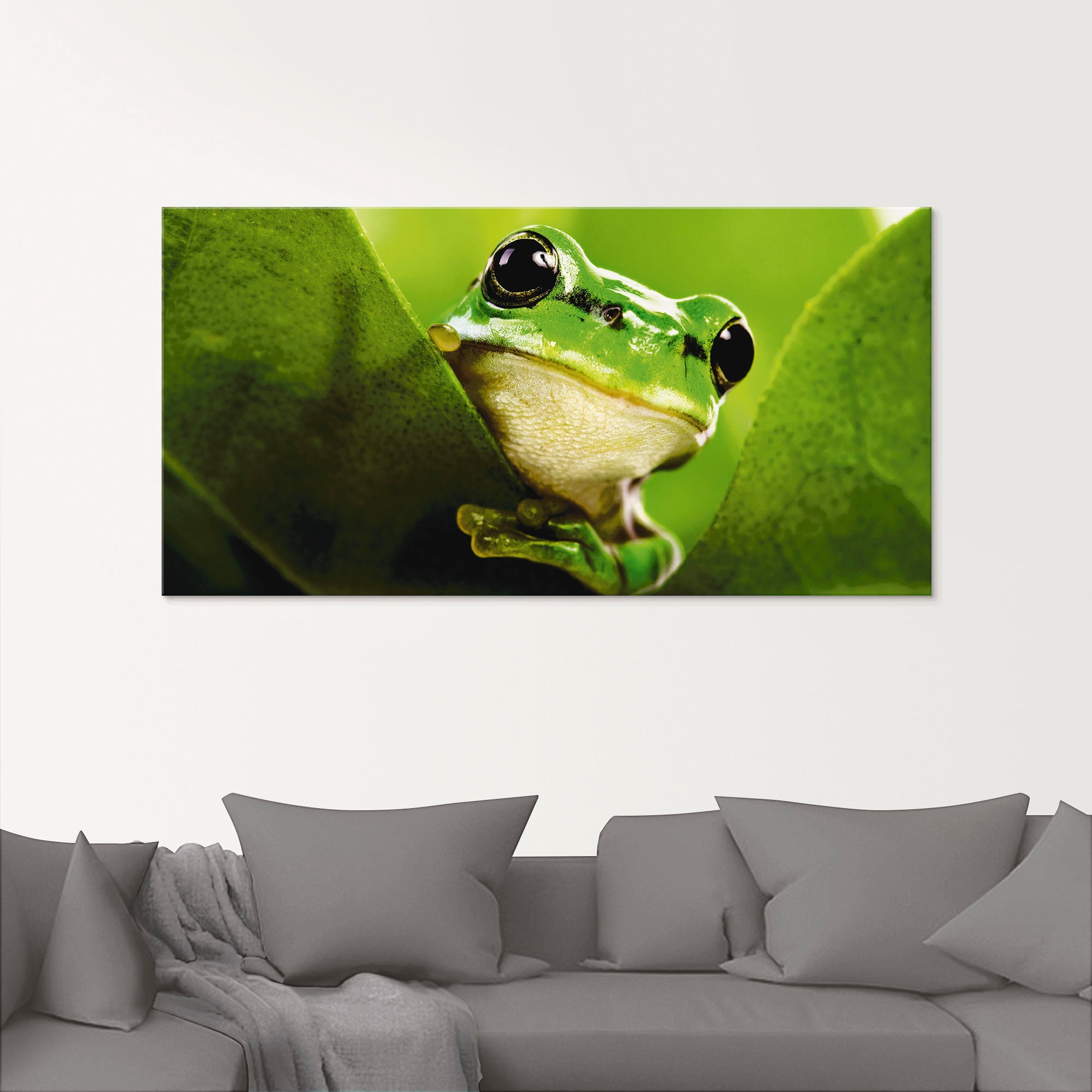 Artland Glasbild "Ausspähender Frosch", Wassertiere, (1 St.), in verschiede günstig online kaufen