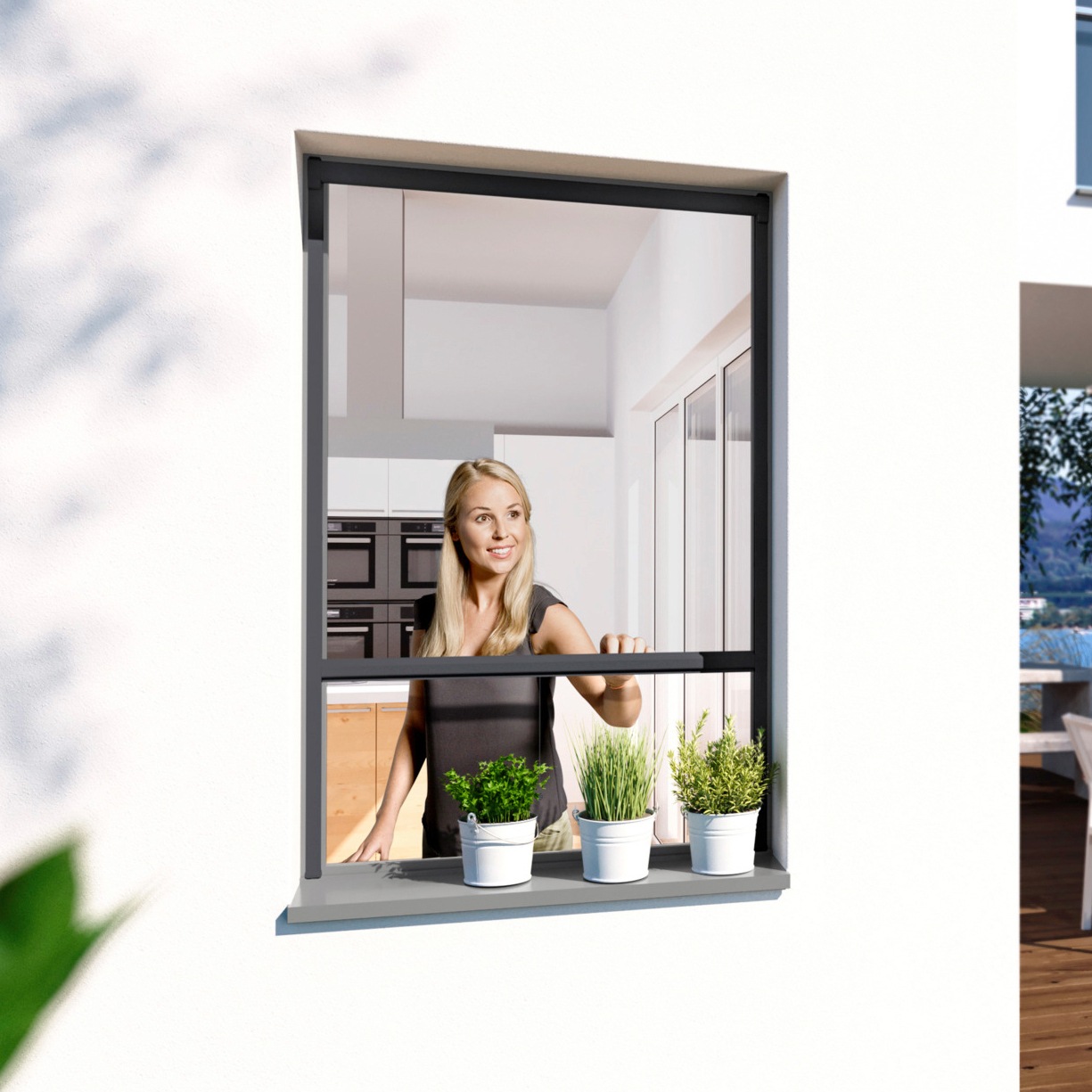 Windhager Insektenschutzrollo »PLUS«, transparent, BxH: 100x160 cm günstig online kaufen