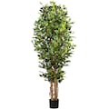 Creativ green Kunstbaum »Ficus Benjamini«, (1 St.)