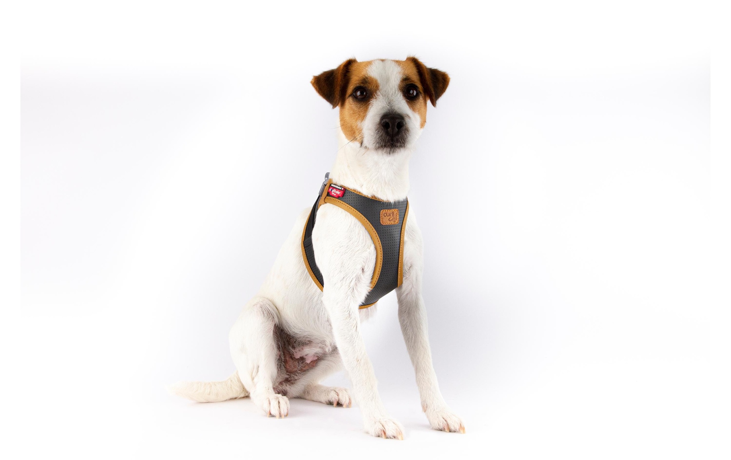 Curli Hunde-Geschirr »Vest Geschirr Apfelleder« Leder