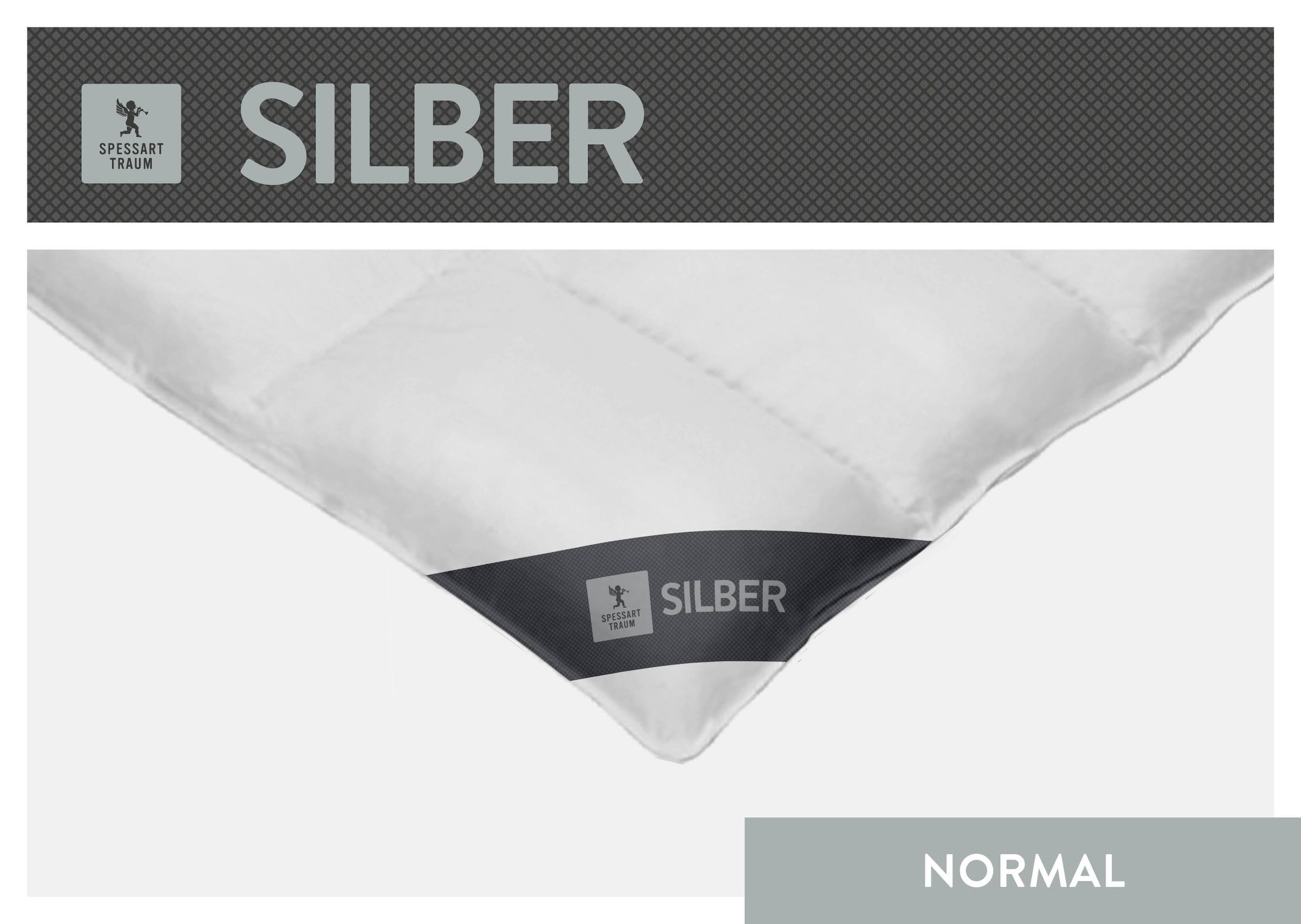 SPESSARTTRAUM Daunenbettdecke »Silber«, normal, Füllung 100% Daunen, Bezug 100% Baumwolle, (1 St.), hergestellt in Deutschland, allergikerfreundlich