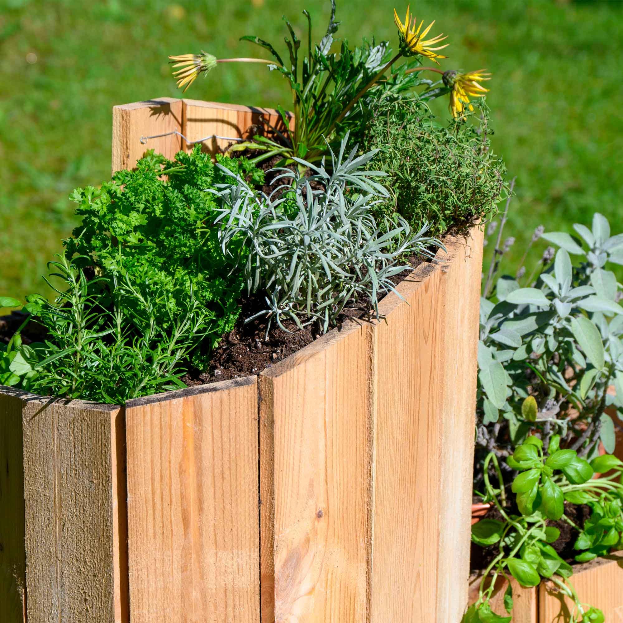 dobar Kräuterspirale »Massivholz, Bausatz« Maße der Kräuterspirale: ca. 250 x 1,6 x 68 cm (L x B x H)