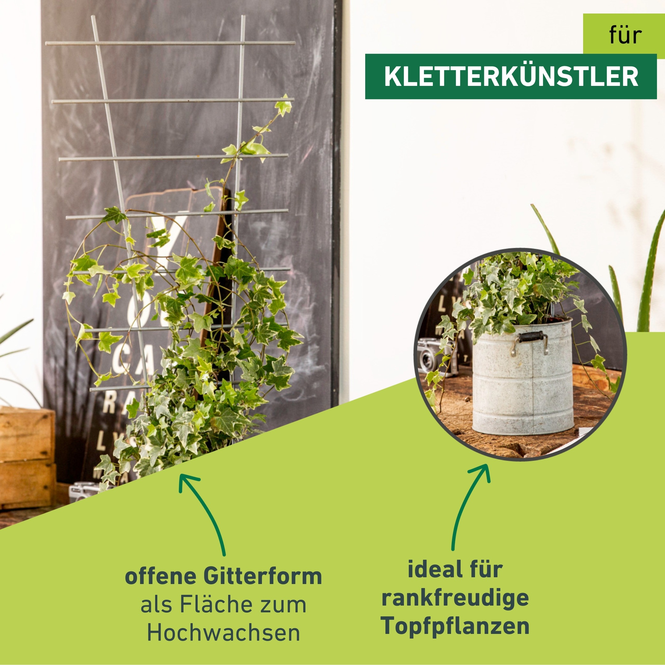 Windhager Rankgitter »für hochwachsende Topfpflanzen, Blumenstütze aus Metall« Gitterspalier erhältlich in 44 x 24 cm oder 77 x 34 cm, silber