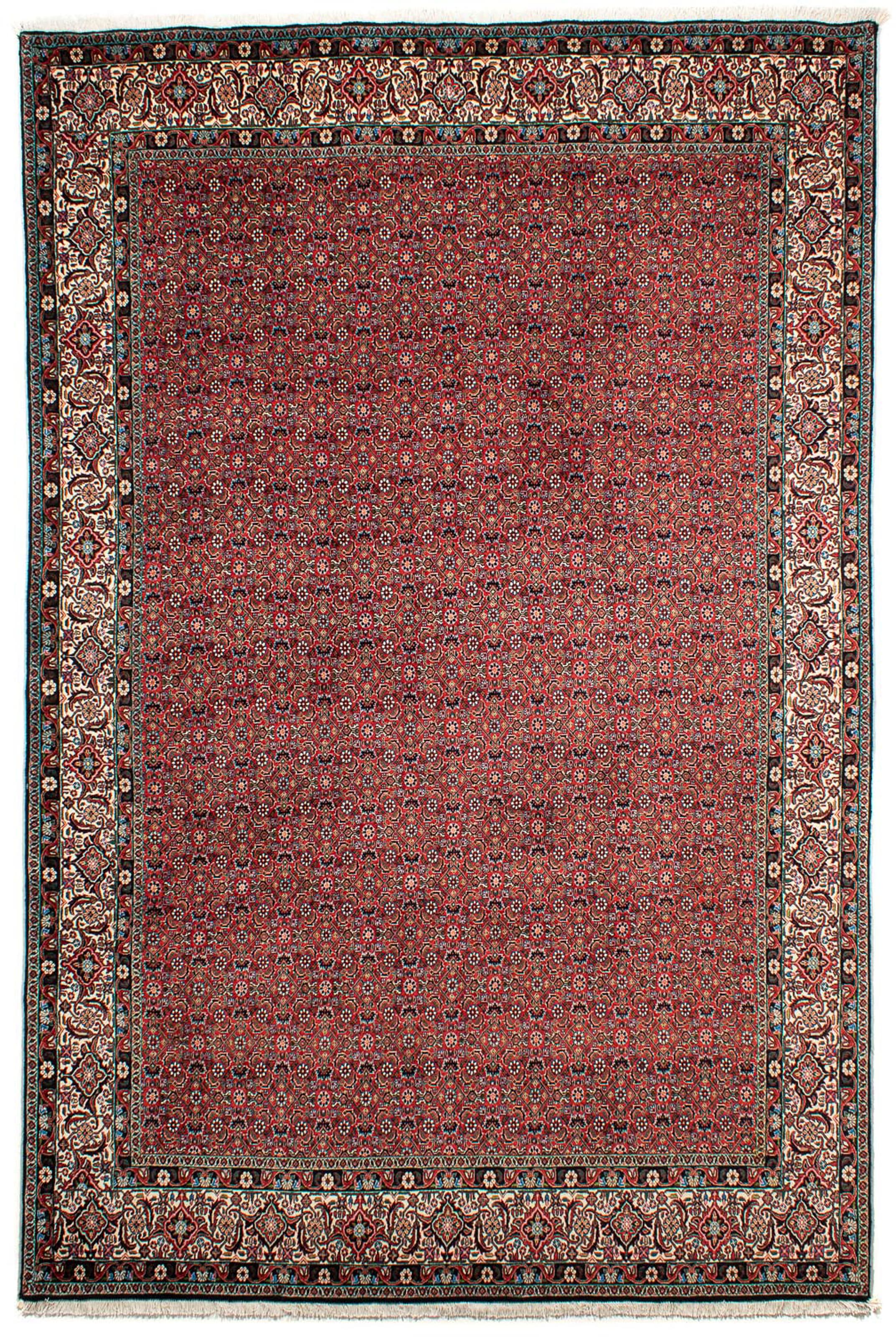 morgenland Orientteppich »Perser - Bidjar - 299 x 203 cm - hellrot«, rechte günstig online kaufen