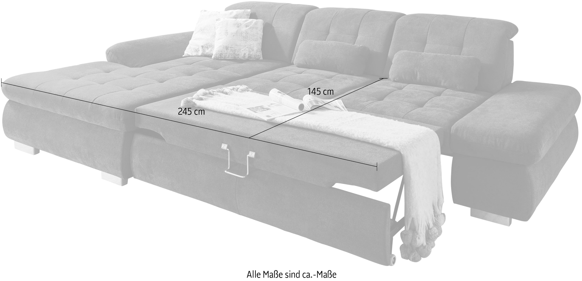 Die PlanBar Ecksofa »MP-IN17004 L-Form«, wahlweise mit Funktion, Federkern