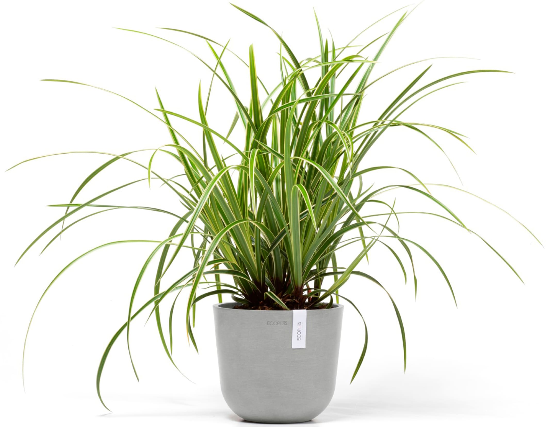 ECOPOTS Blumentopf »Oslo Mini 19 Weißgrau«, für den Innenbereich