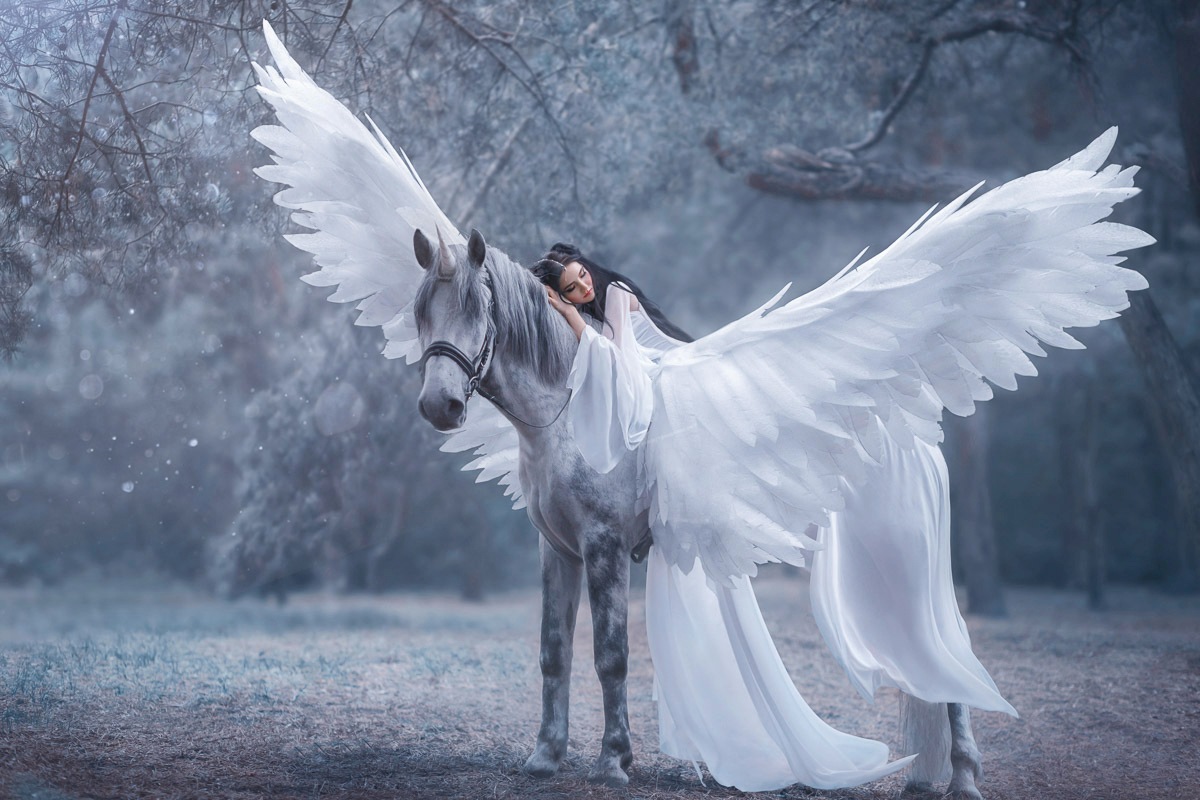 Papermoon Fototapete »EINHORN MIT FEE IM MÄRCHENWALD«