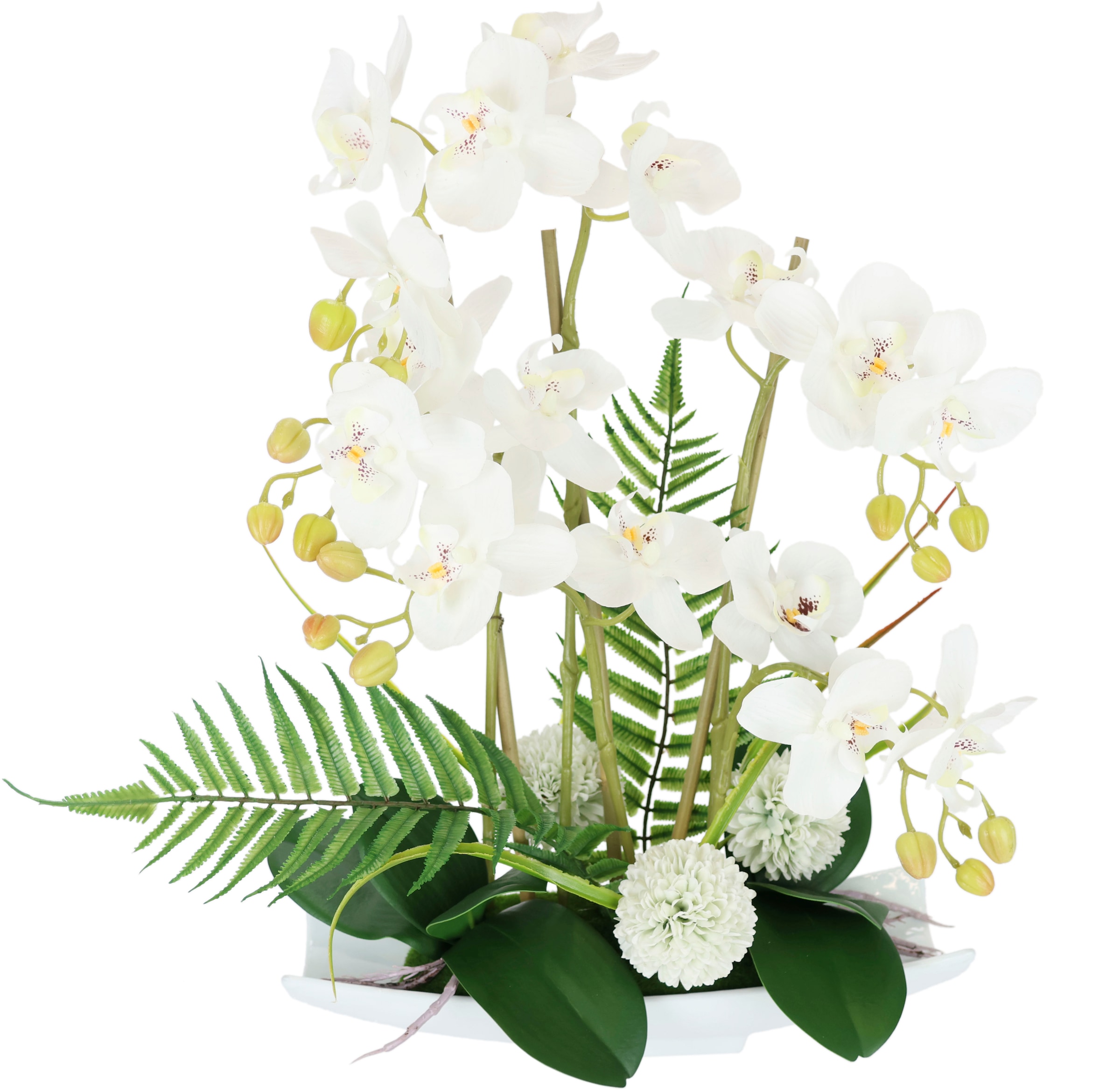 I.GE.A. Kunstblume »Orchideen« günstig online kaufen