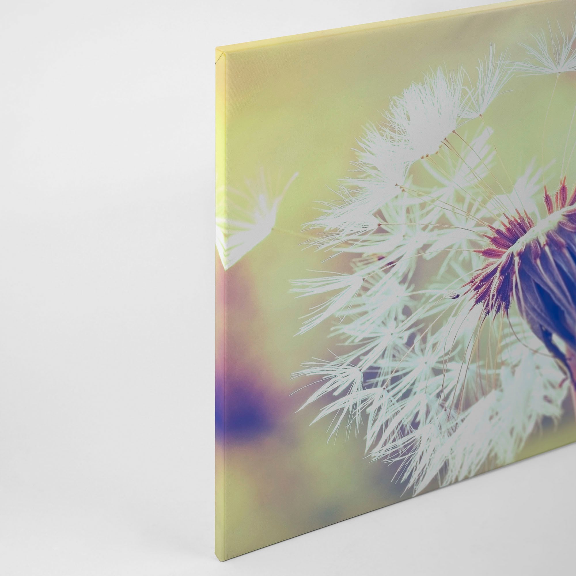 A.S. Création Leinwandbild »Dandelion«, Kunst-Gemälde-Kinder, (1 St.), Pusteblume Keilrahmen Leinwand-Bild Wohnzimmer modern Wandbild Kinder