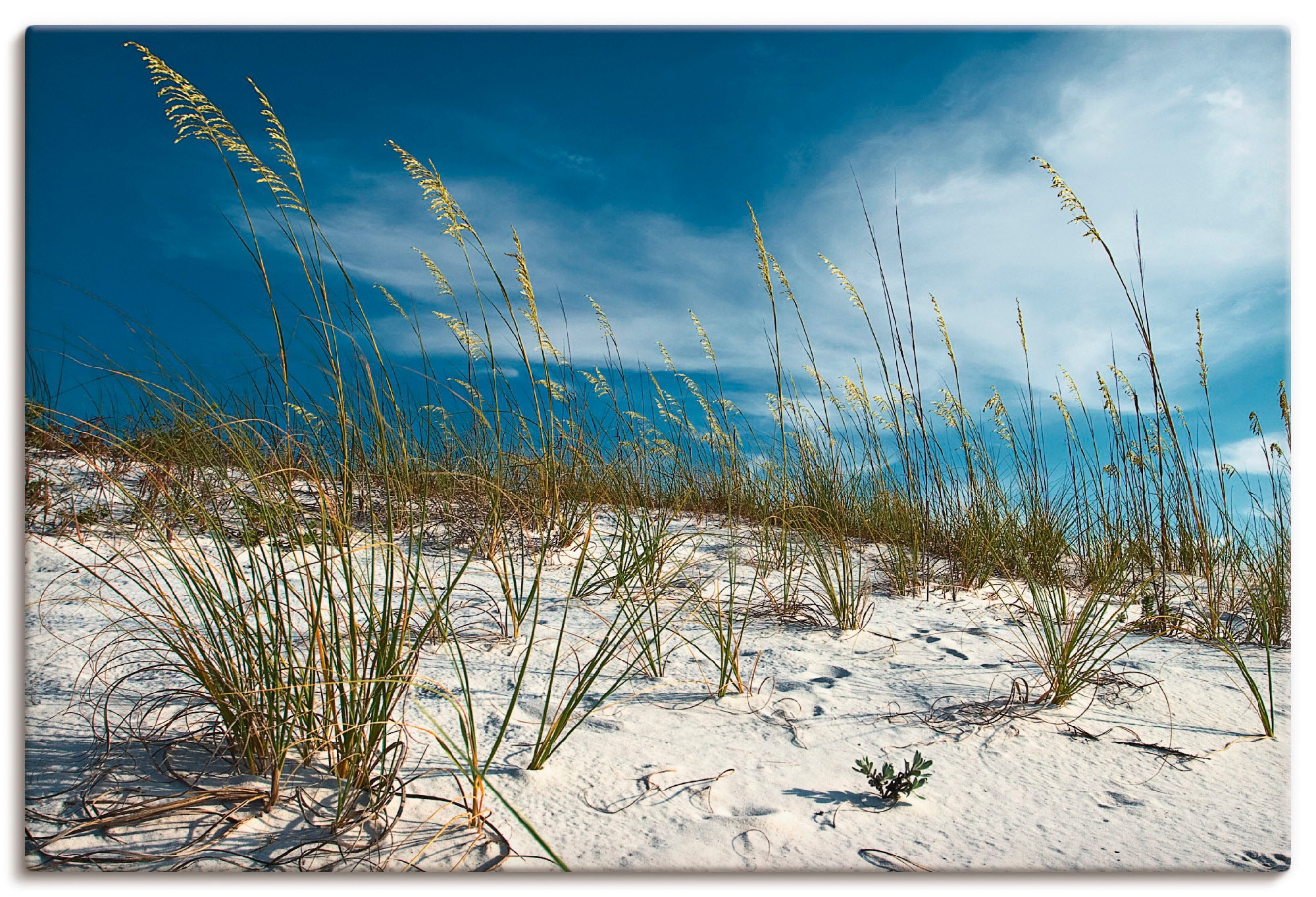 Artland Wandbild "Sanddüne und Gräser", Strand, (1 St.), als Alubild, Outdo günstig online kaufen