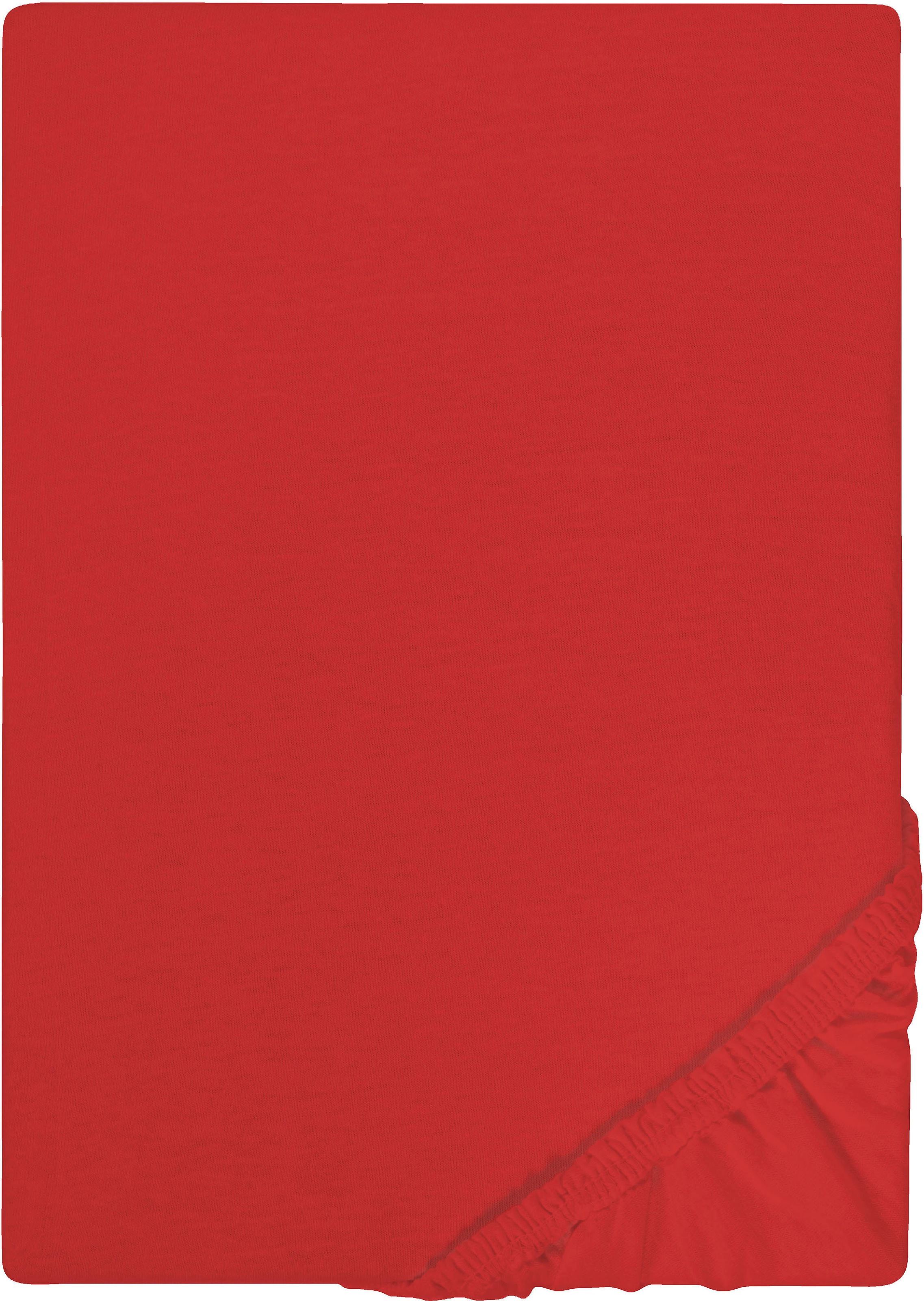 Castell - Markenbettwäsche Spannbettlaken »Jersey in Gr. 90x200, 140x200 oder 180x200 cm«, aus Baumwolle, für Matratzen bis 22 cm Höhe, Bettlaken, Spannbetttuch