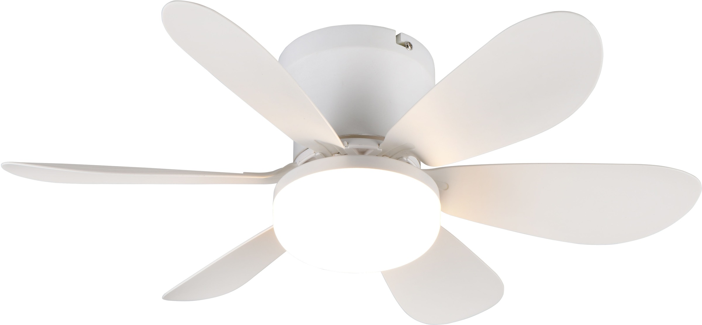 REALITY Leuchten LED Deckenleuchte »LUND mit Ventilator, Deckenventilator m günstig online kaufen
