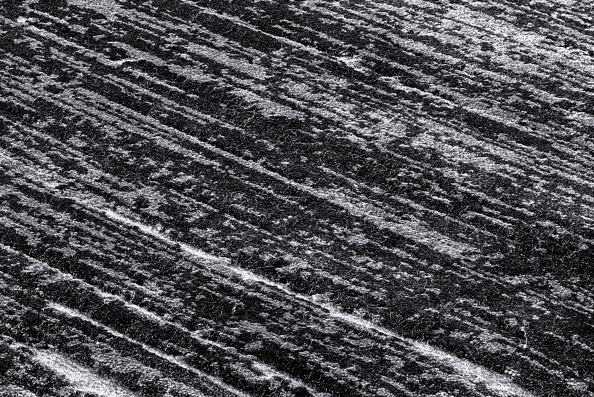 OCI DIE TEPPICHMARKE Teppich »BESTSELLER GLORY«, rechteckig, 8 mm Höhe, Wohnzimmer