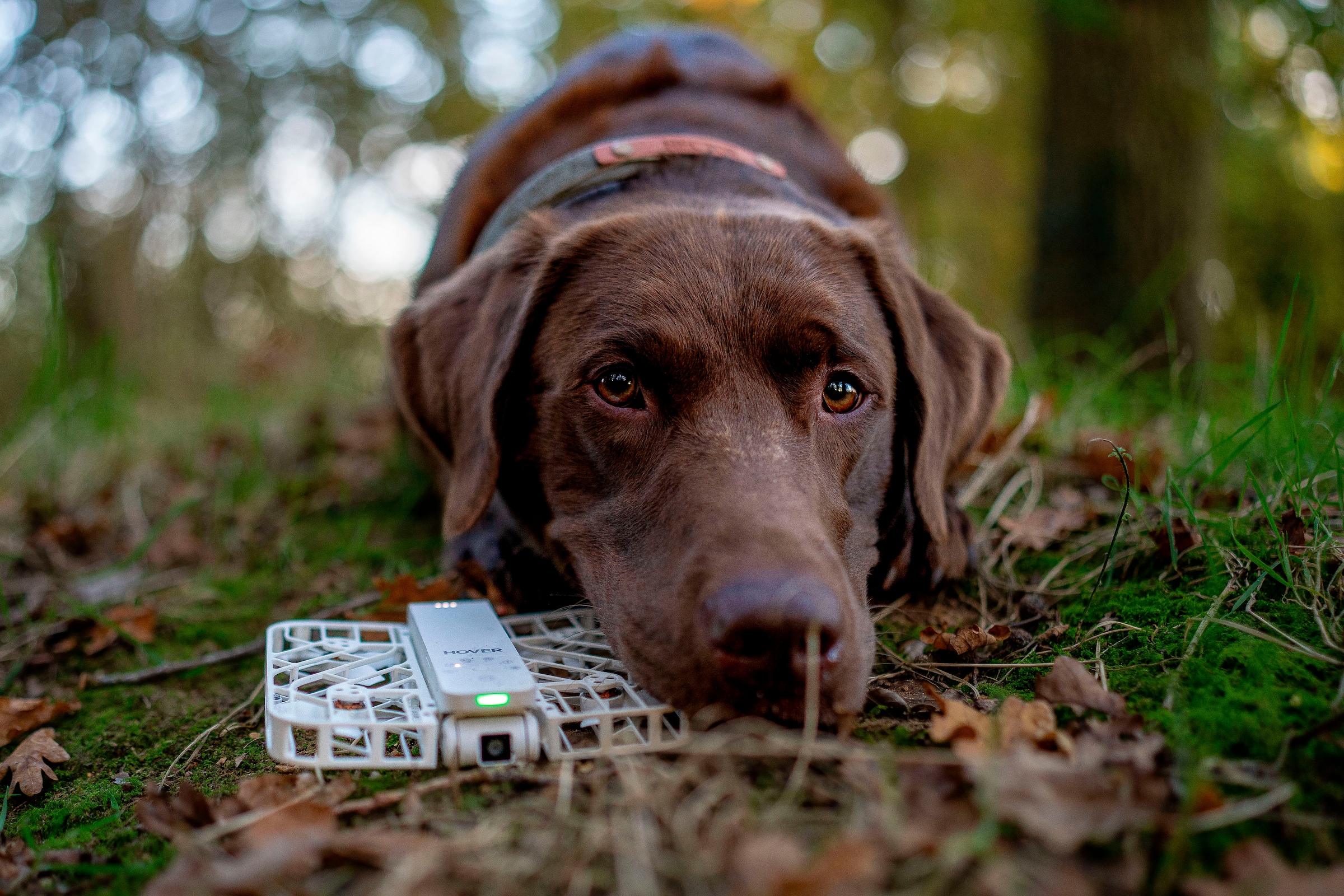 HOVERAir Drohne »X1 Power Combo«