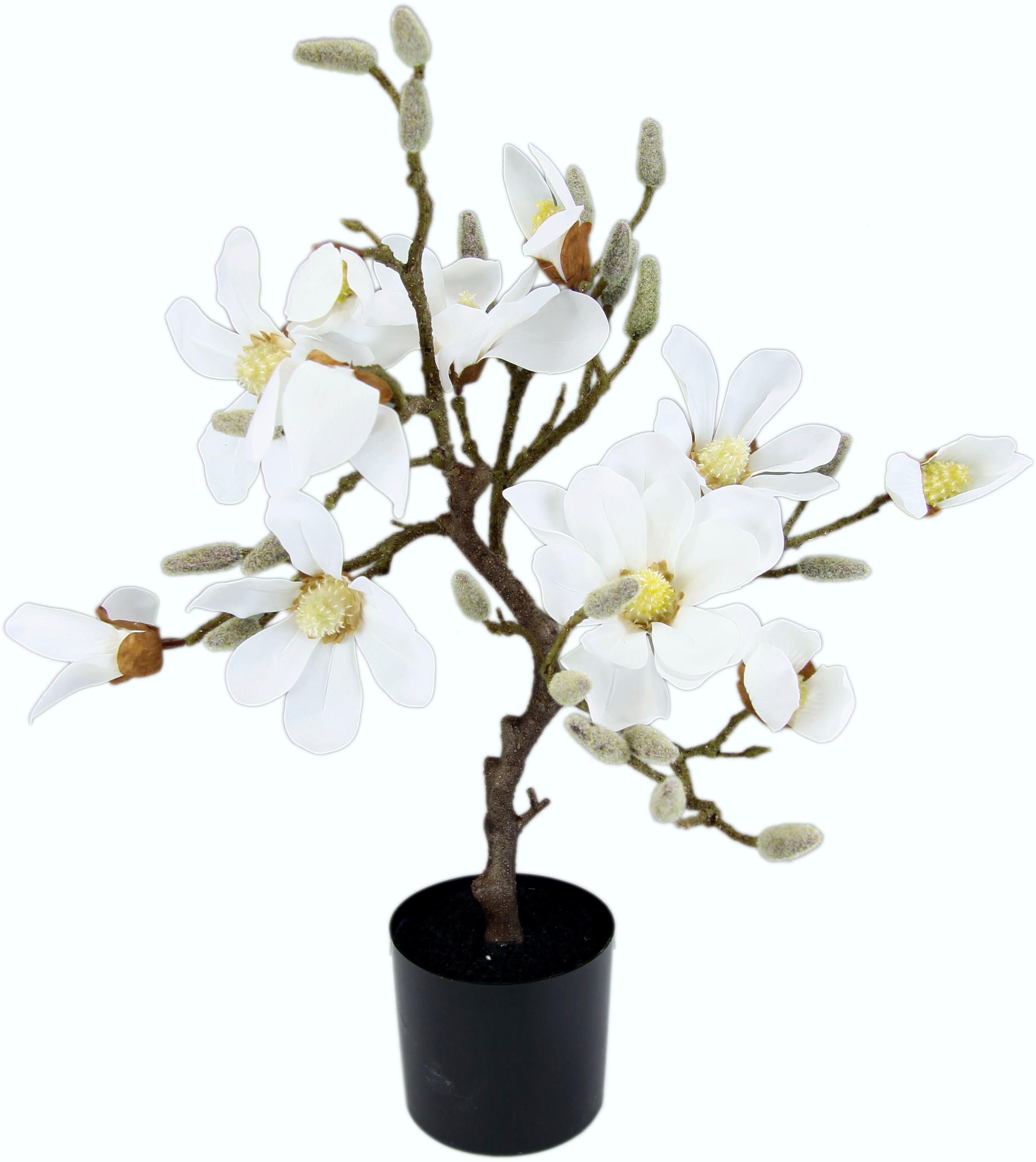 I.GE.A. Kunstbaum »Magnolienbaum«, im Kunststofftopf günstig online kaufen