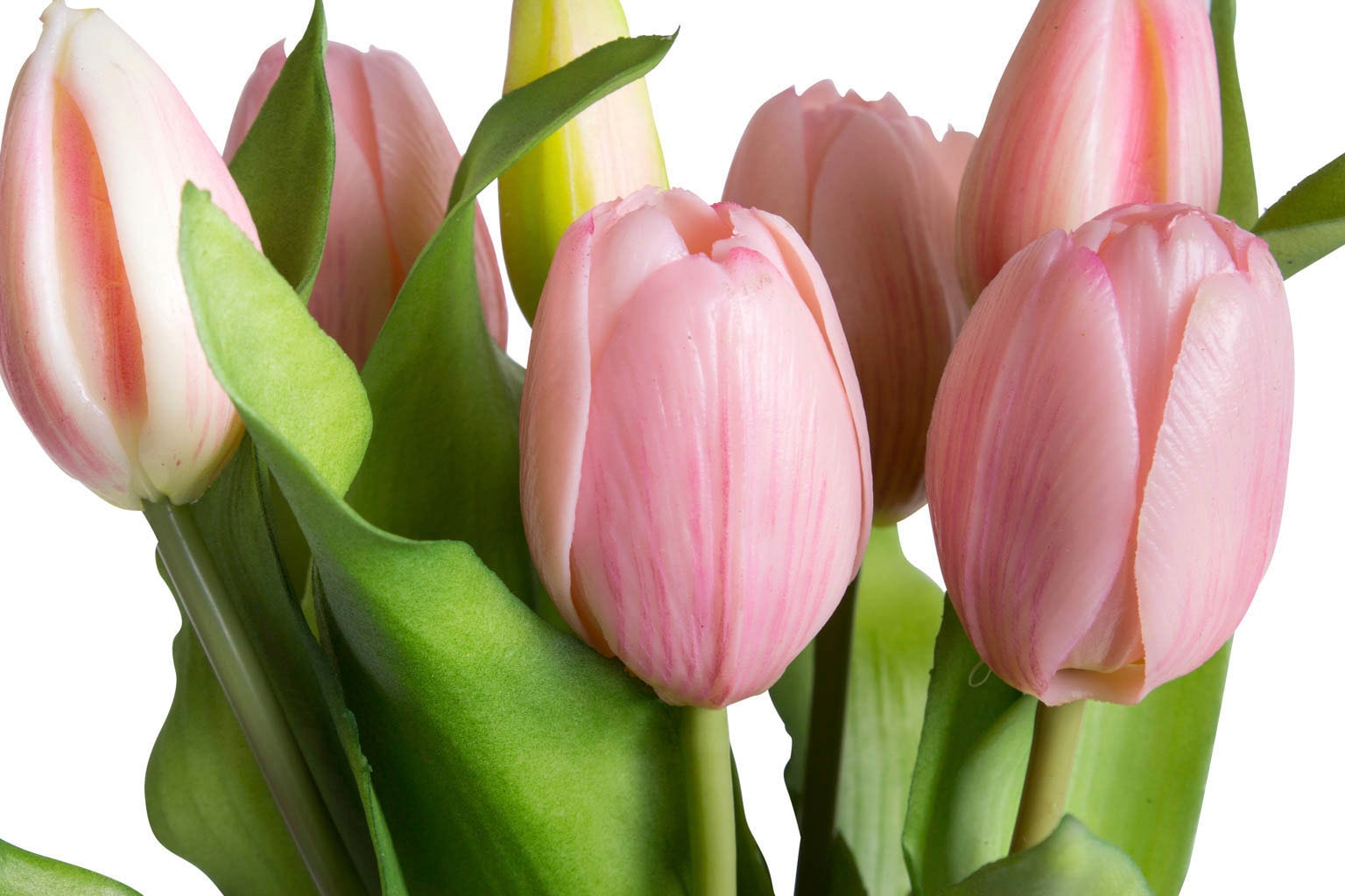 Botanic-Haus Kunstblume »Willa« Tulpenbündel im 7er-Set