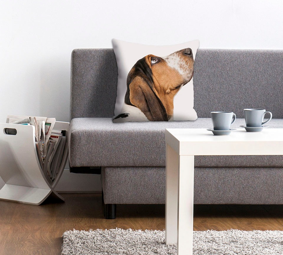 queence Dekokissen »Jens«, Hund mit Dackelblick, Kissenhülle ohne Füllung, günstig online kaufen