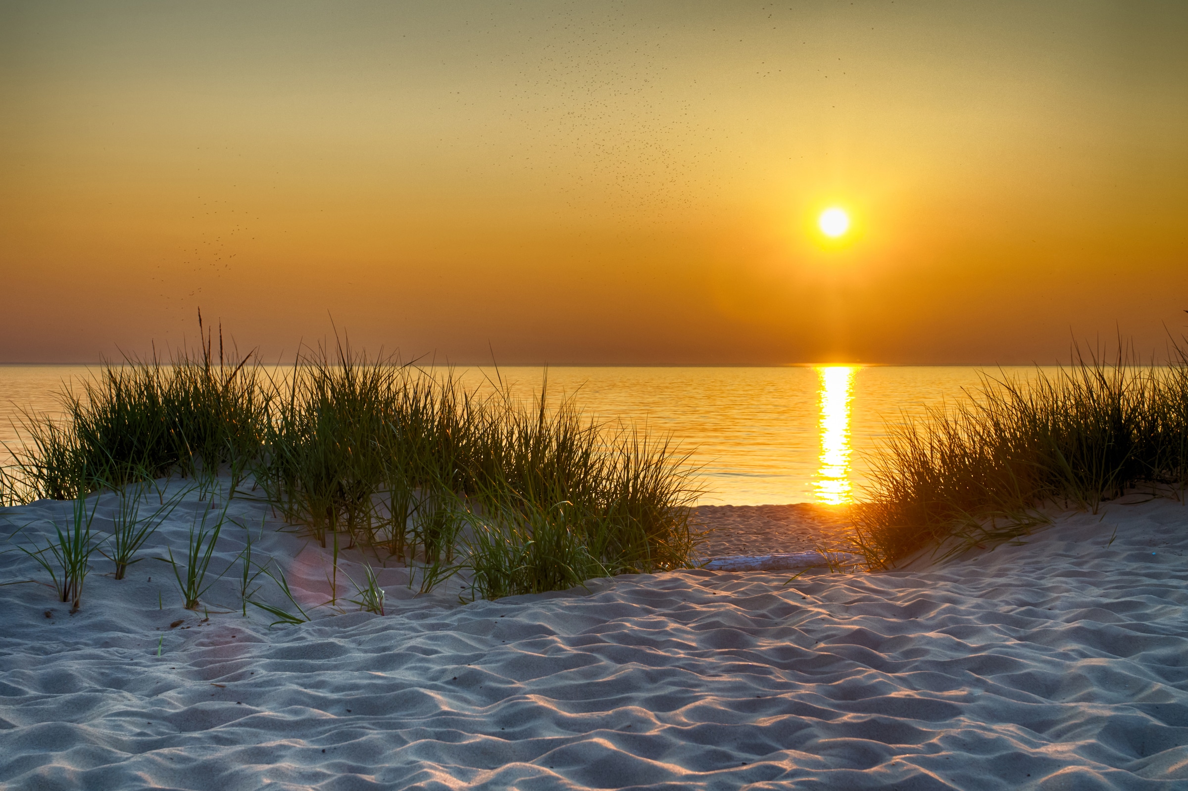 Papermoon Fototapete »Dunes Lake Michigan« günstig online kaufen