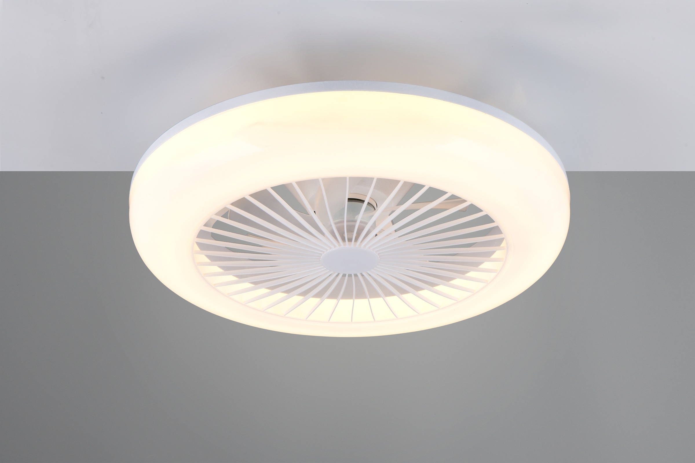 REALITY Leuchten LED Deckenleuchte »MORA mit Ventilator, Deckenventilator mit Licht inkl Fernbedienung«, 1 flammig, Leuchtmittel LED-Board | LED fest integriert, 3 Geschwindigkeiten Timer Vor- & Rücklauf LED dimmbar CCT Nachtlicht
