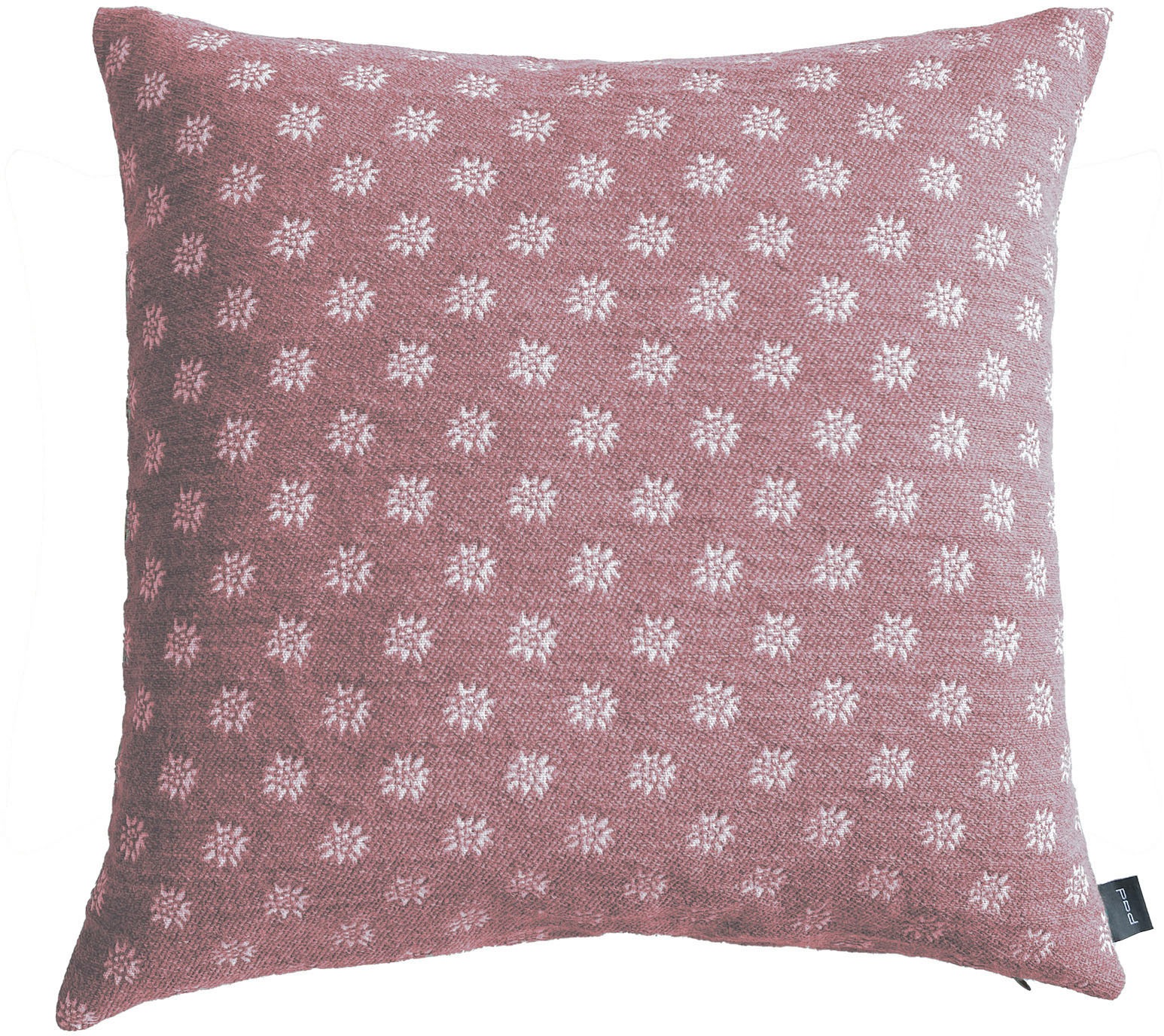 PAD Dekokissen »EDEL, Made in Europe« Kissenbezug ohne Füllung, Motiv Edelw günstig online kaufen