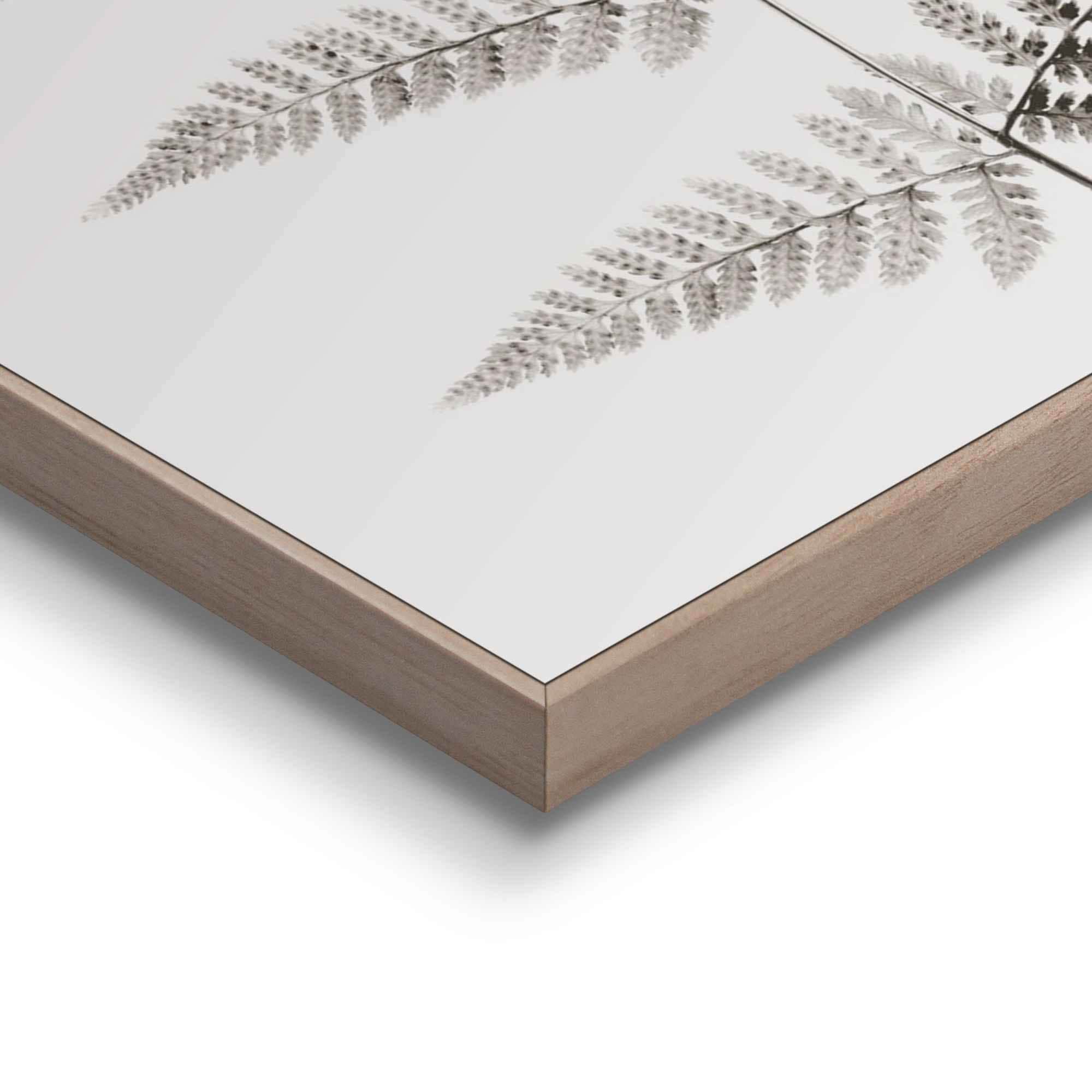 Reinders! Bild »Farn Pflanz - Natur - Botanisch«, (1 St.)
