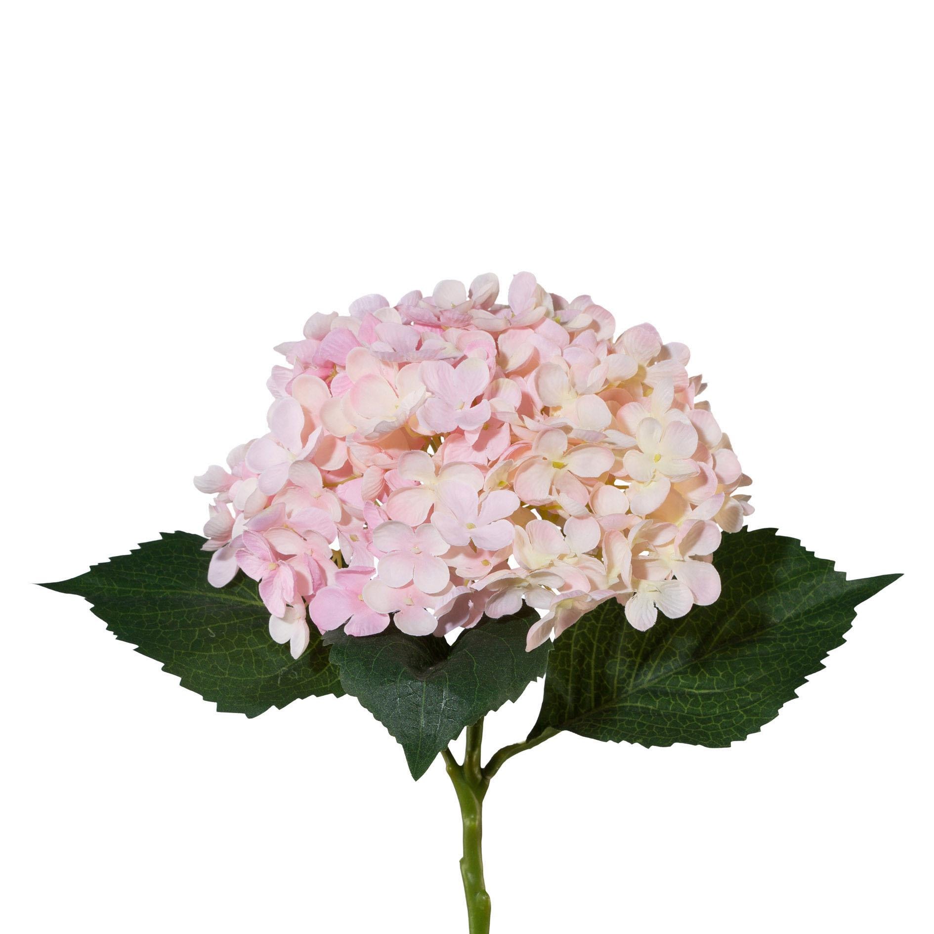 Creativ green Kunstpflanze »3er-Set«