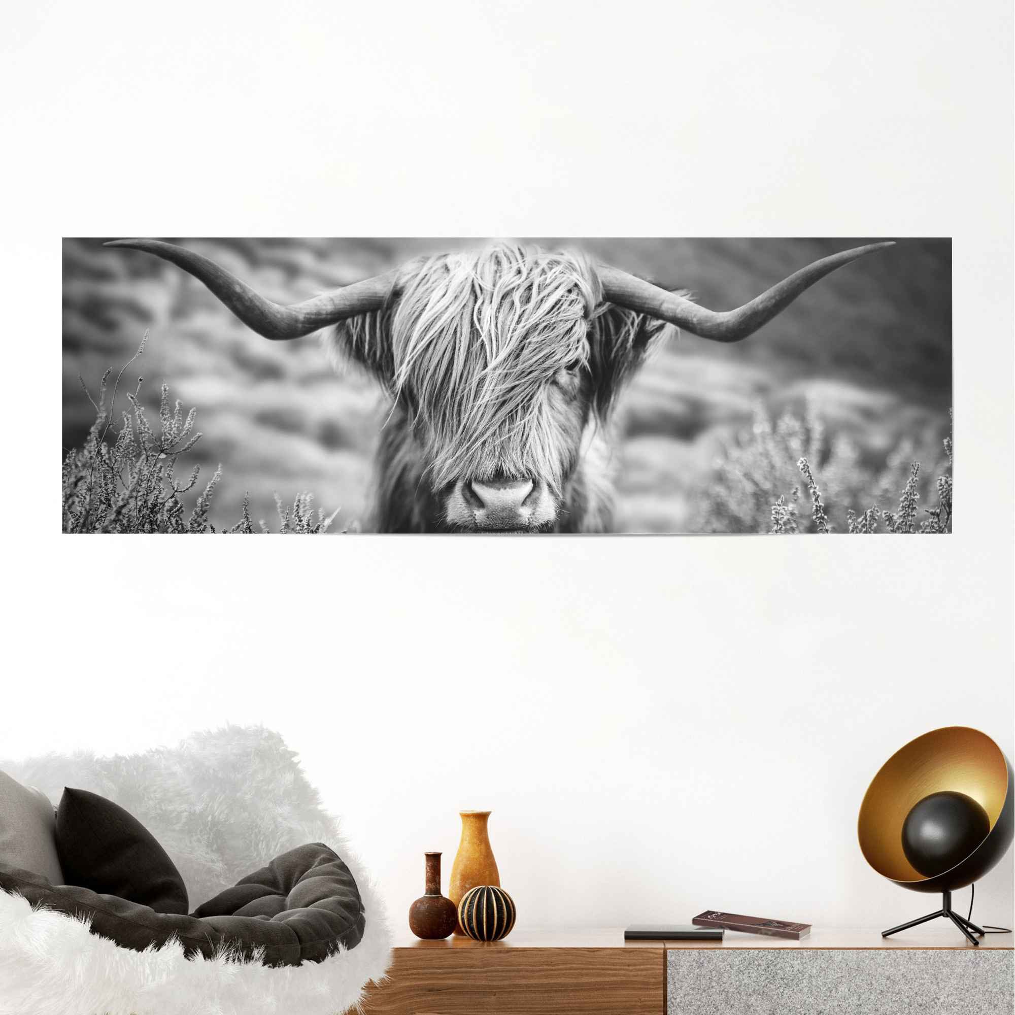 Reinders! Poster »Highlander Bulle Tiermotiv - Nahaufnahme - Hochlandrind Bild«, (1 St.)
