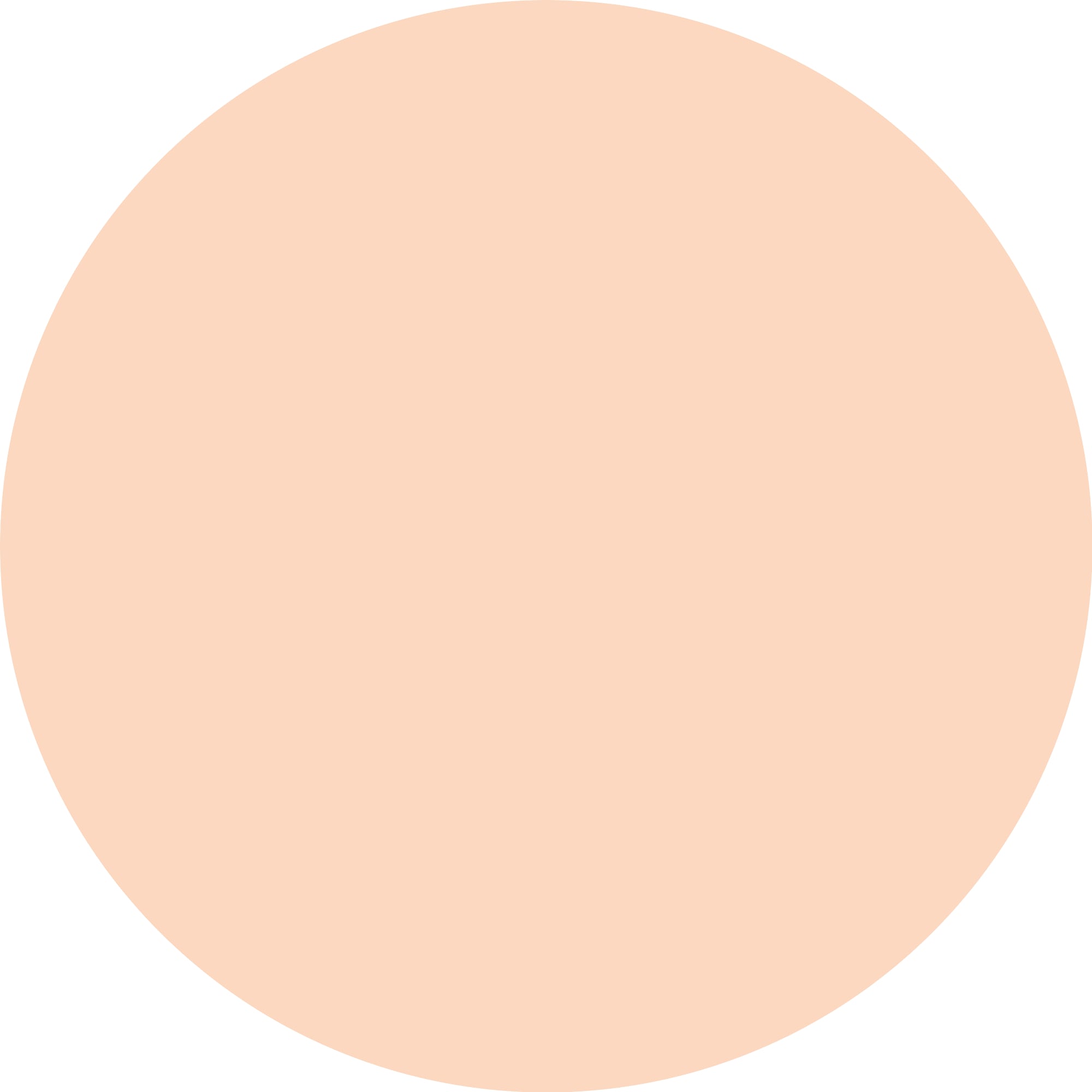 Essence Kosmetik-Adventskalender »little X-MAS WONDER advent calendar« ab 14 Jahren