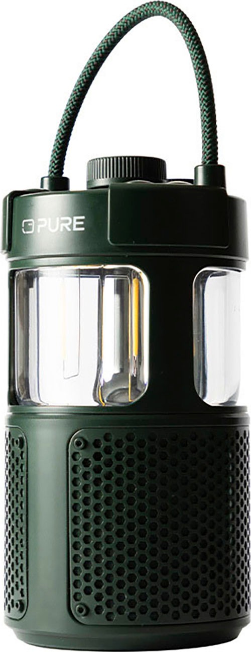 Pure Portable-Lautsprecher »Woodland Glow«