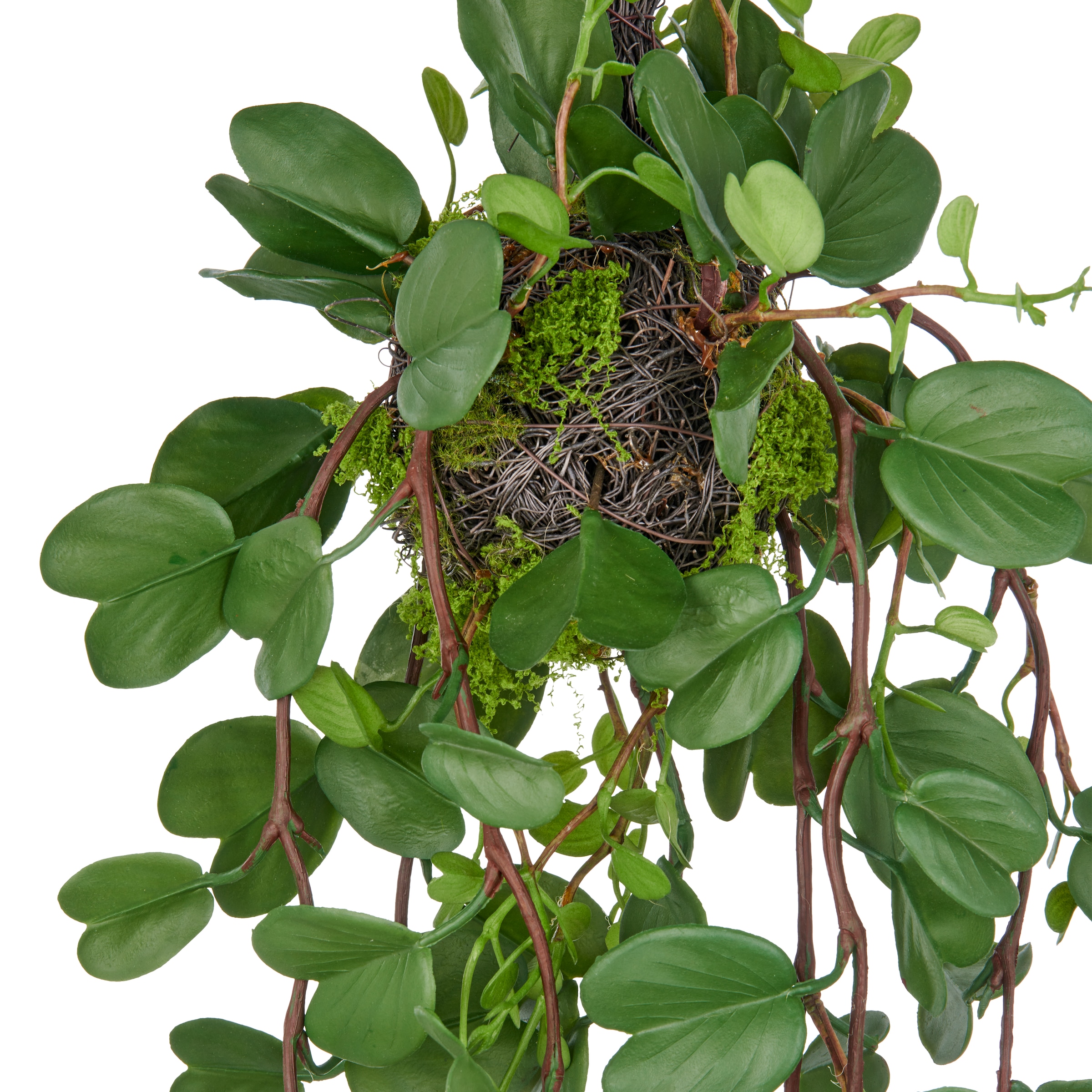 Creativ green Kunstpflanze »Bauhinia«, mit detailgetreuen Blattranken an Reisigkugel