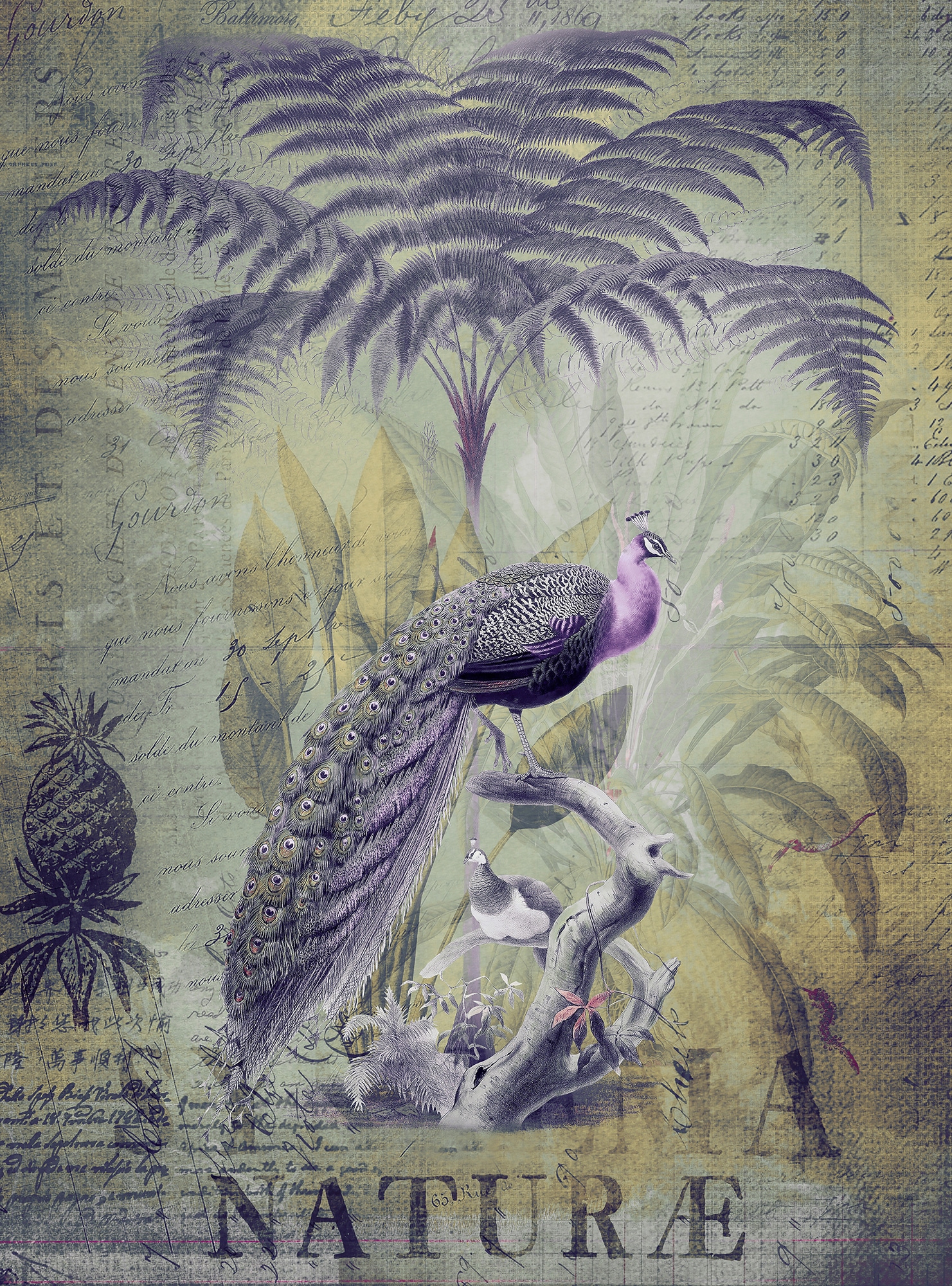 living walls Fototapete »ARTist Peacock Jungle« Vlies, Wand, Schräge günstig online kaufen