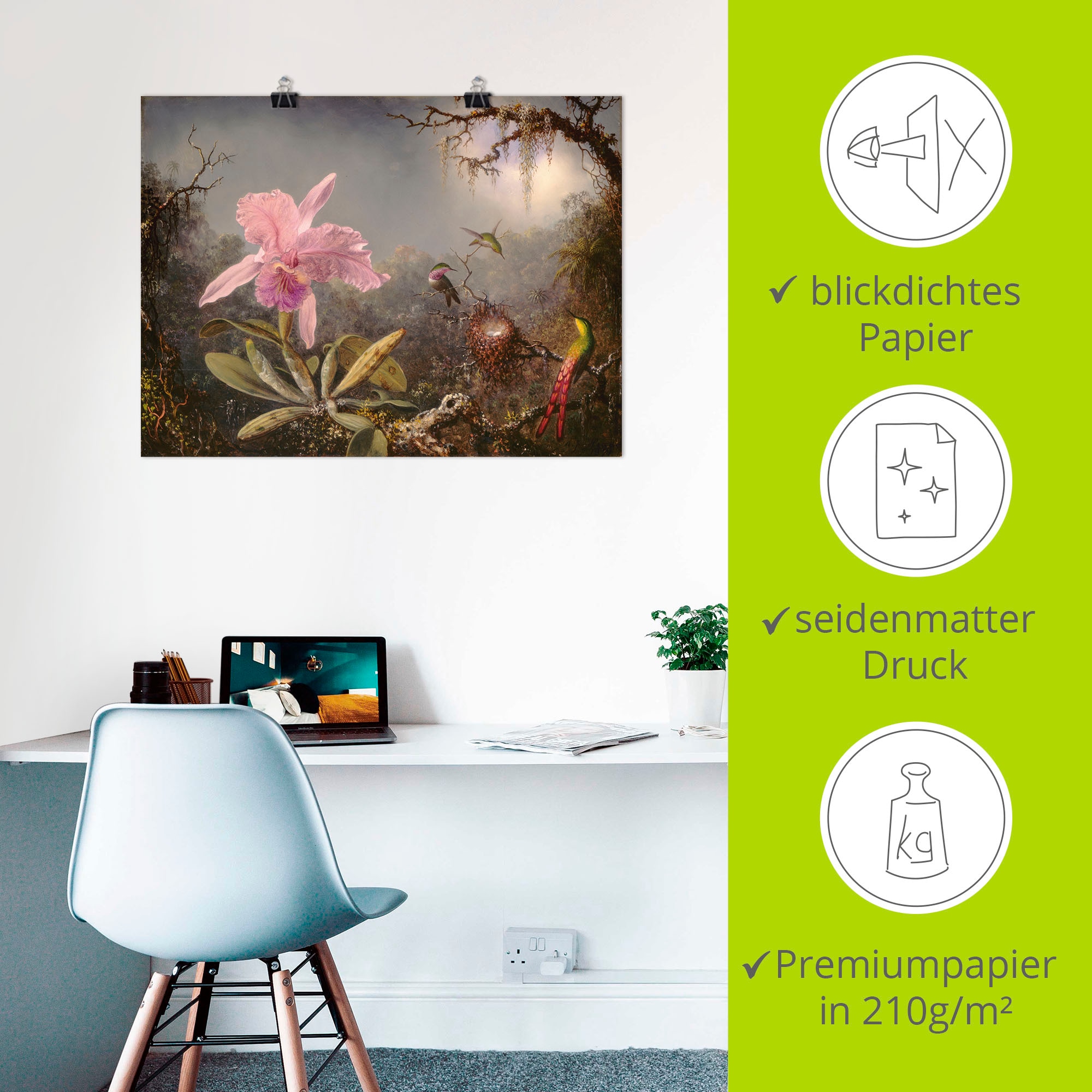 Artland Wandbild »Cattleya Orchidee und drei Kolibris.«, Blumenbilder, (1 St.), als Leinwandbild, Poster in verschied. Größen