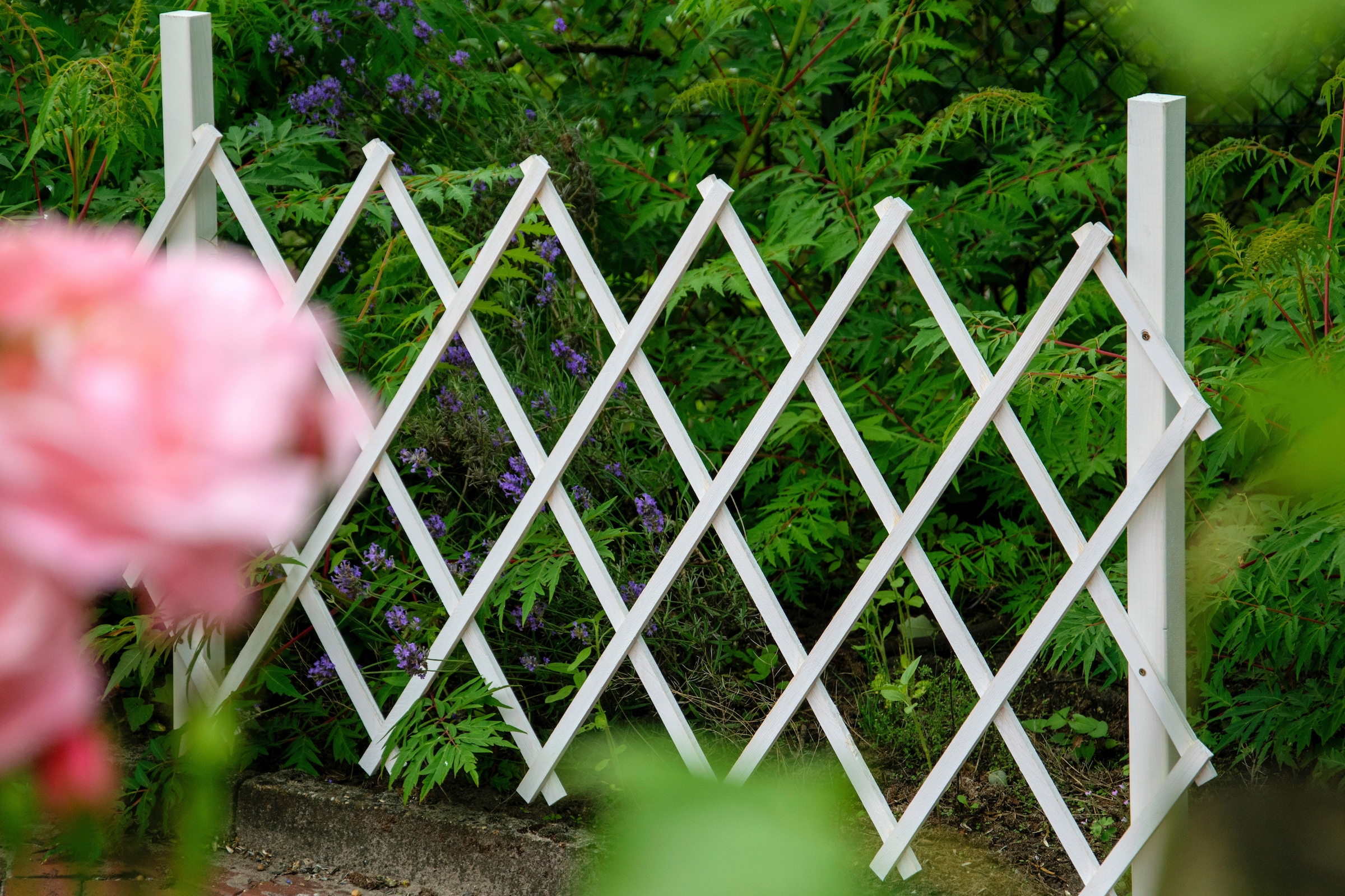 dobar Rankgitter »Gr. S« faltbar, BxTxH: 110x28x80 cm