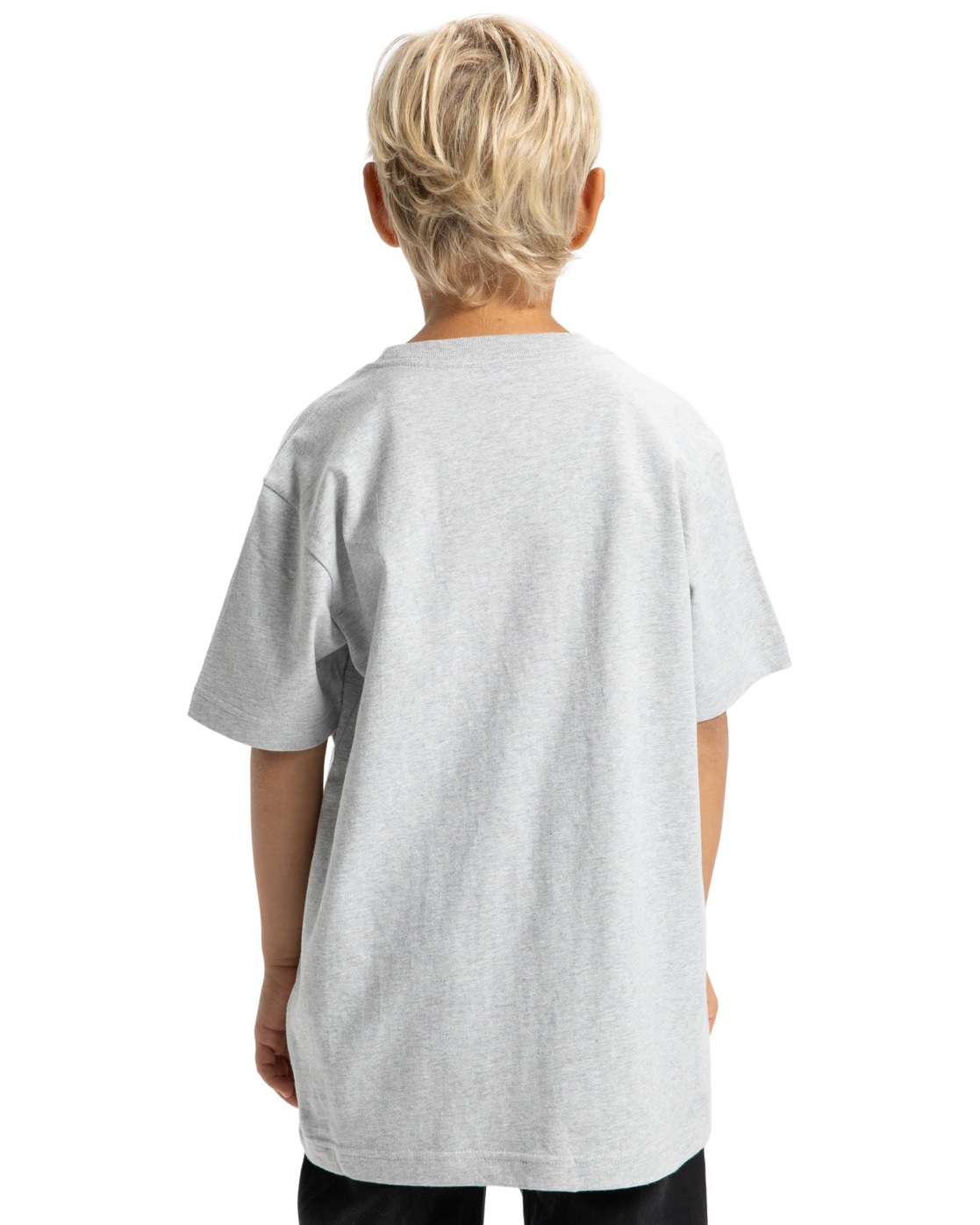 DC Shoes T-Shirt »Substitute«