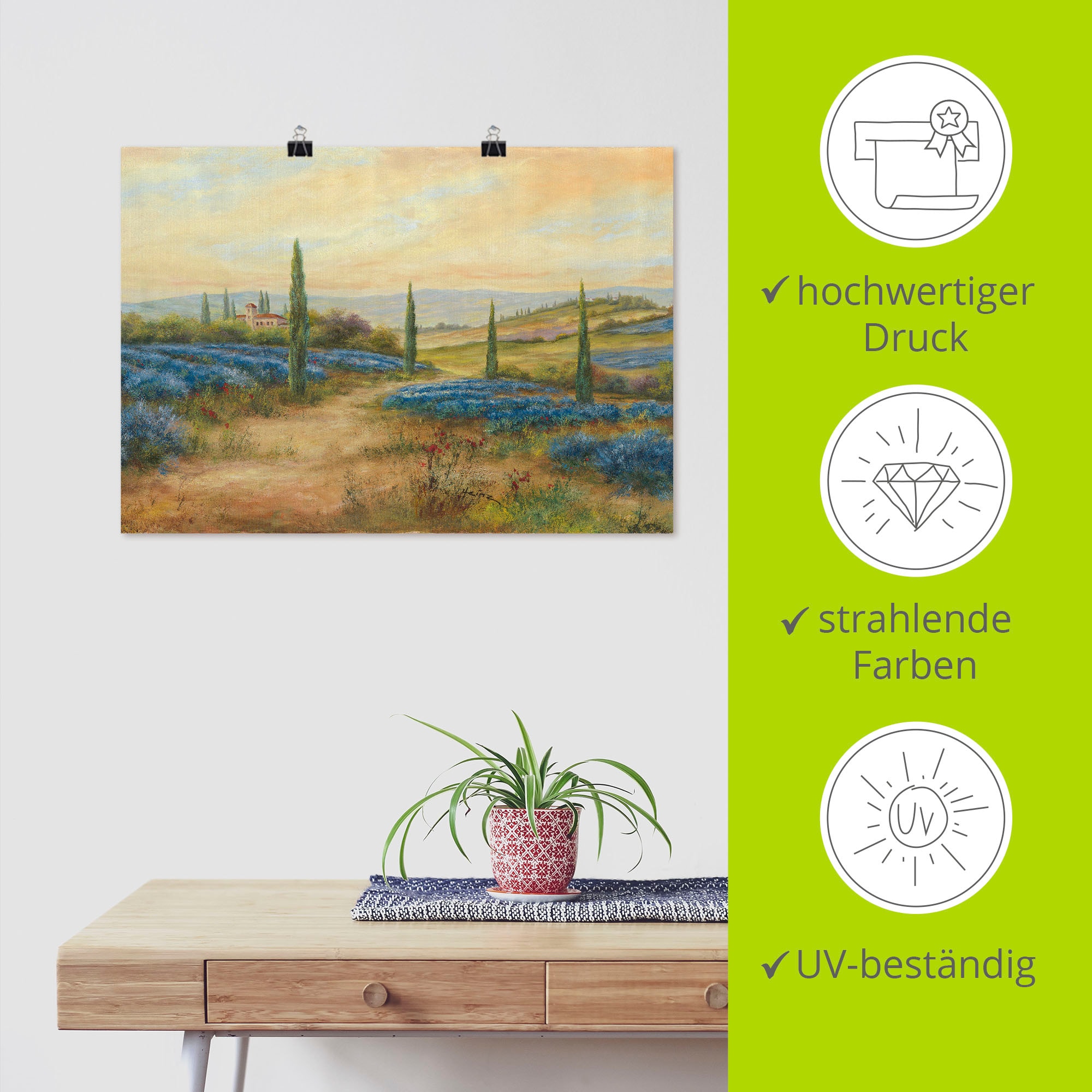 Artland Poster »Lavendelfelder«, Europa, (1 St.), als Alubild, Leinwandbild, Wandaufkleber oder Poster in versch. Größen