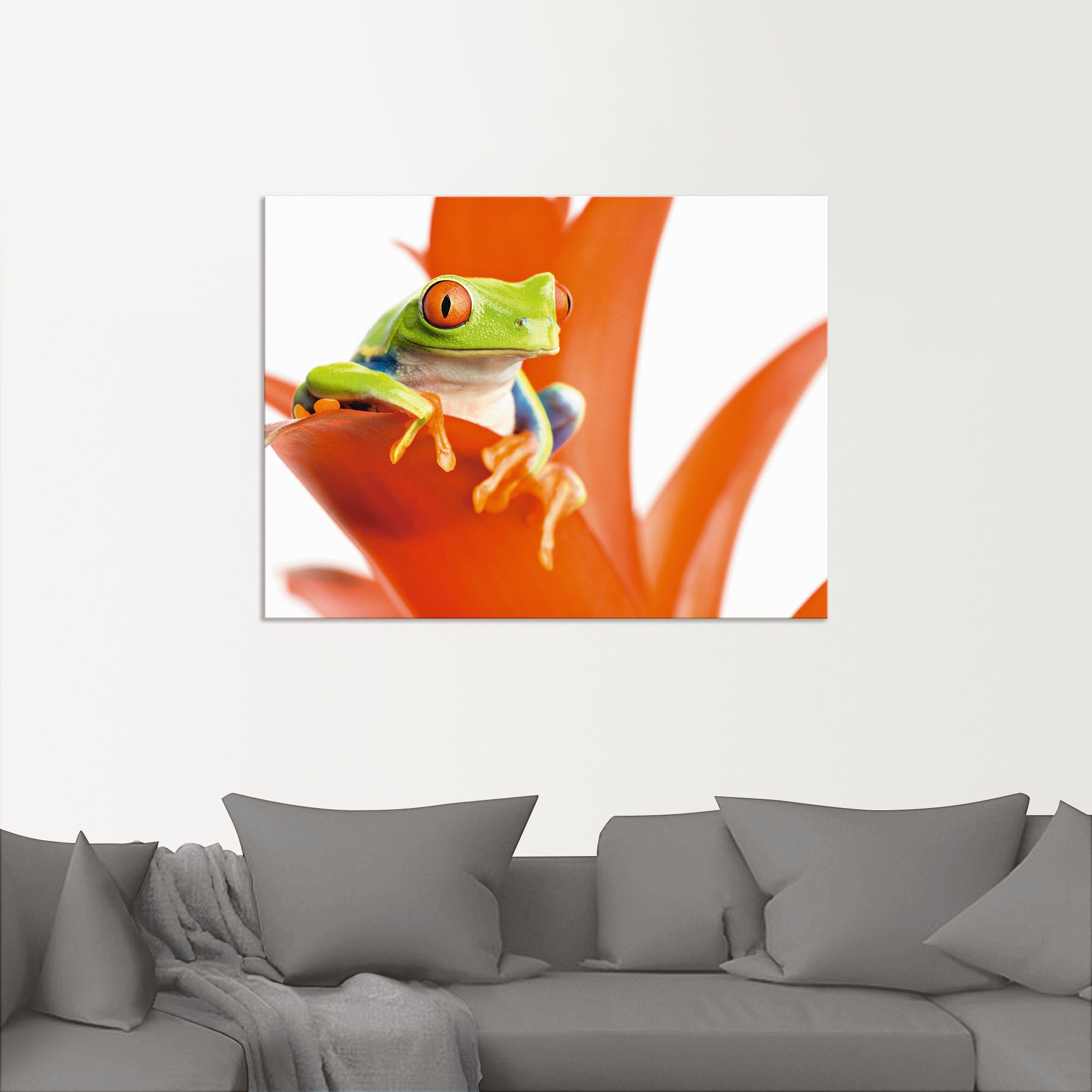 Artland Wandbild »Frosch auf seinem Thron«, Wassertiere, (1 St.), als Alubild, Leinwandbild, Wandaufkleber oder Poster in versch. Größen