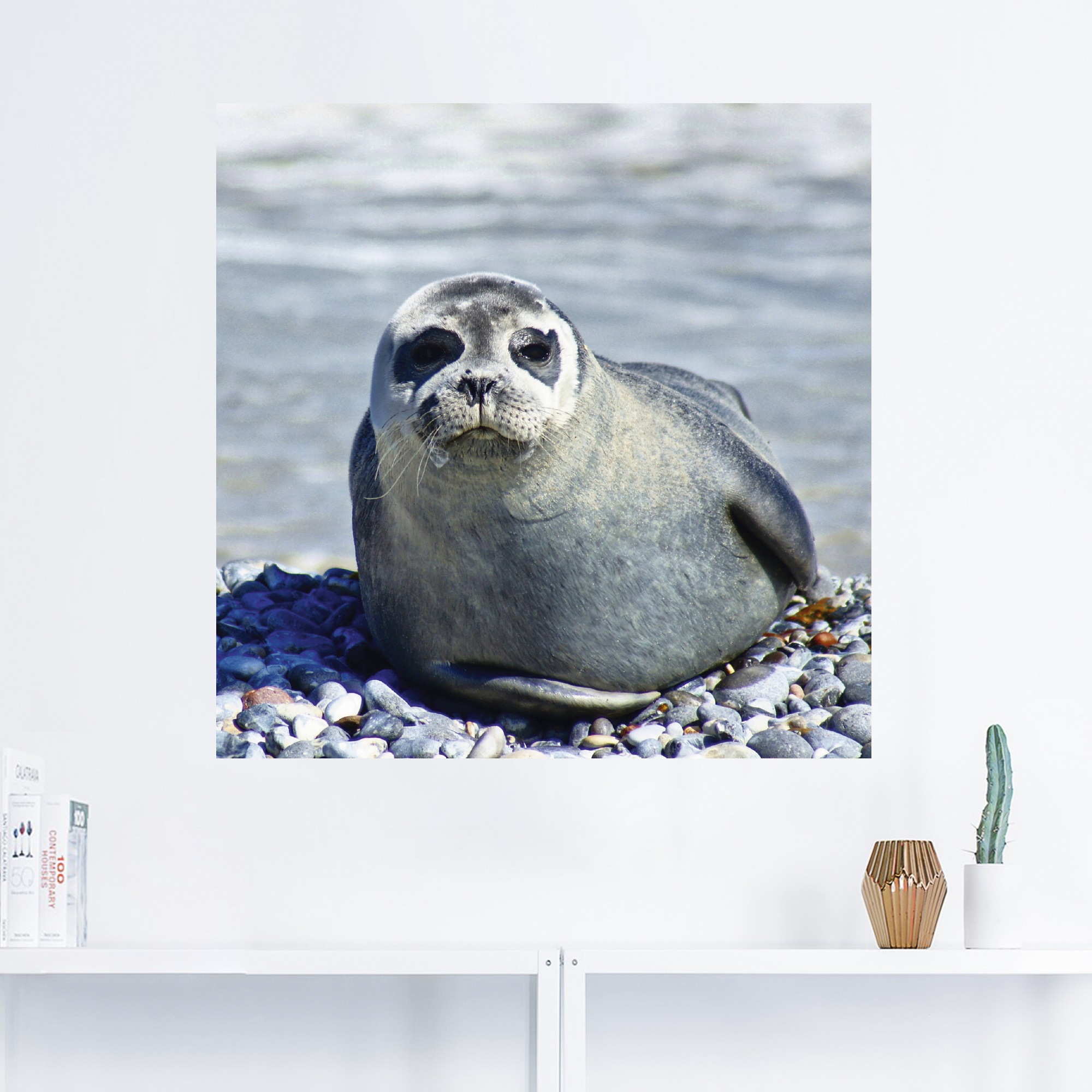Artland Wandbild »Robbe am Strand von Helgoland«, Wassertiere, (1 St.), als Wandaufkleber in verschied. Größen