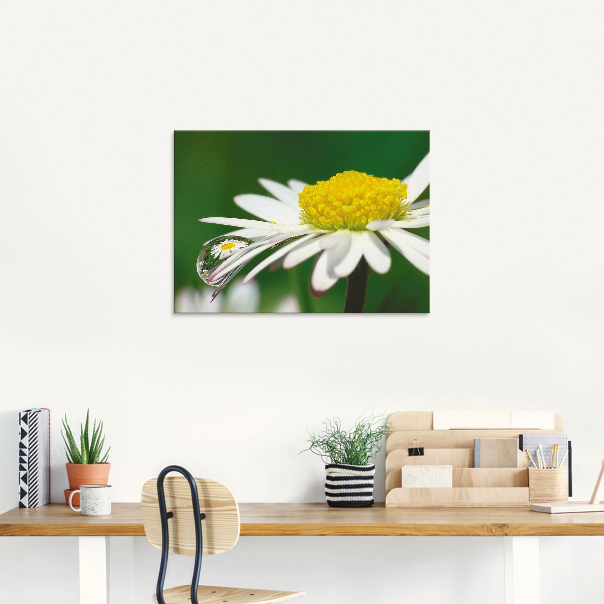 Artland Glasbild »Gänseblümchen mit Wassertropfen«, Blumen, (1 St.), in verschiedenen Größen