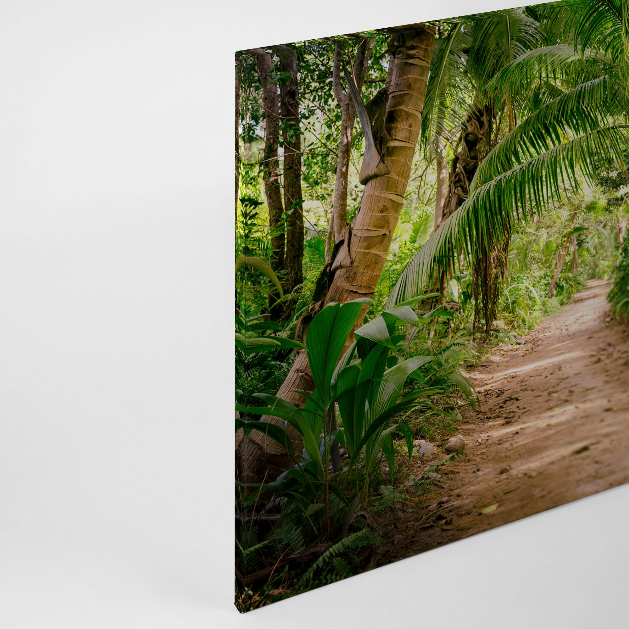 A.S. Création Leinwandbild »Palm Walk«, Kunst-Gemälde-Kinder, (1 St.), Palmen Wald Keilrahmen Natur Leinwand-Bild Wohnzimmer modern Wandbild