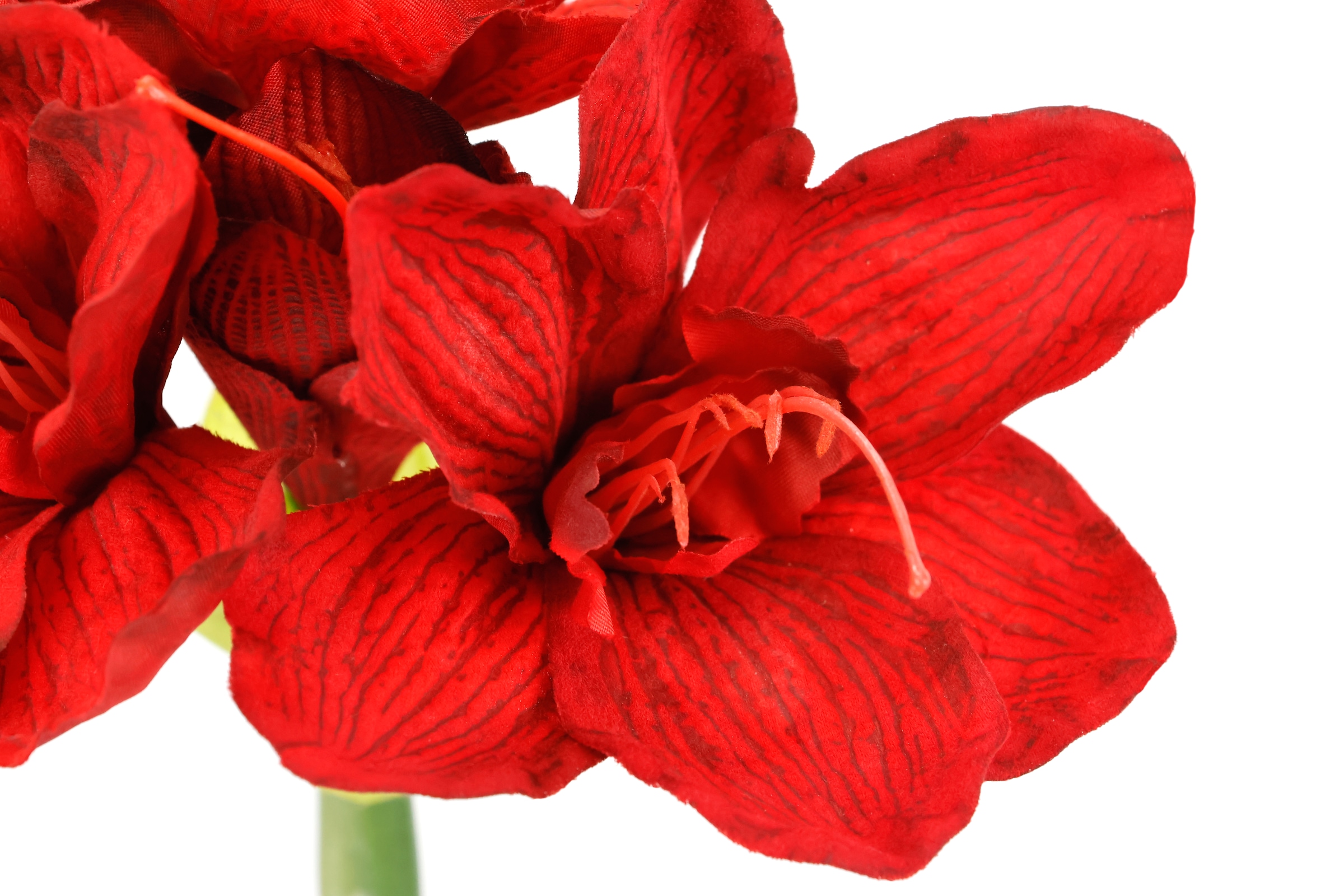 I.GE.A. Kunstblume »Amaryllis künstlich« 3er Set Seidenblume Weihnachtsdeko Weihnachtsblume Blumen Zweig