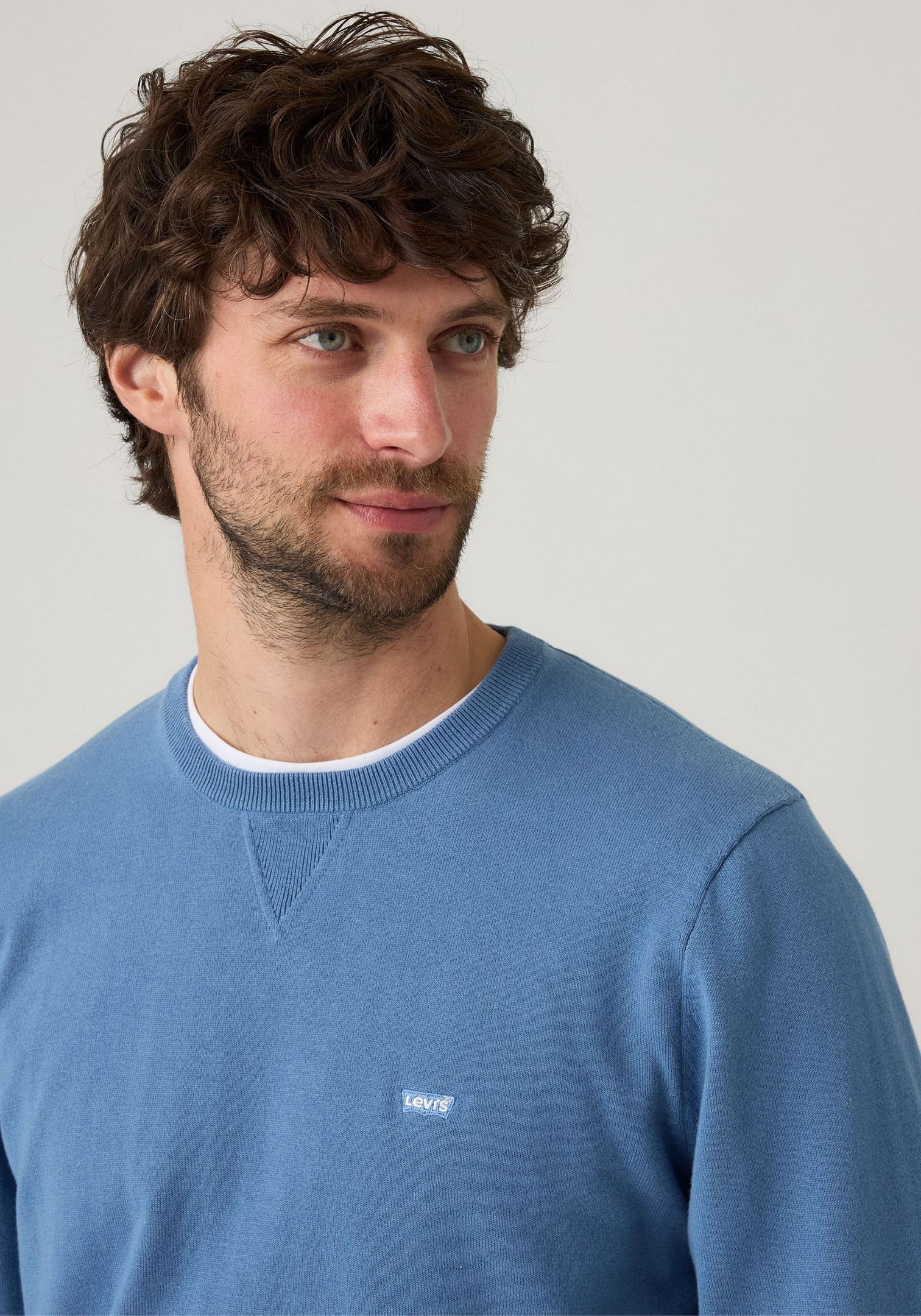 Levi's® Rundhalspullover »LIGHTWEIGHT HM SWEATER«
